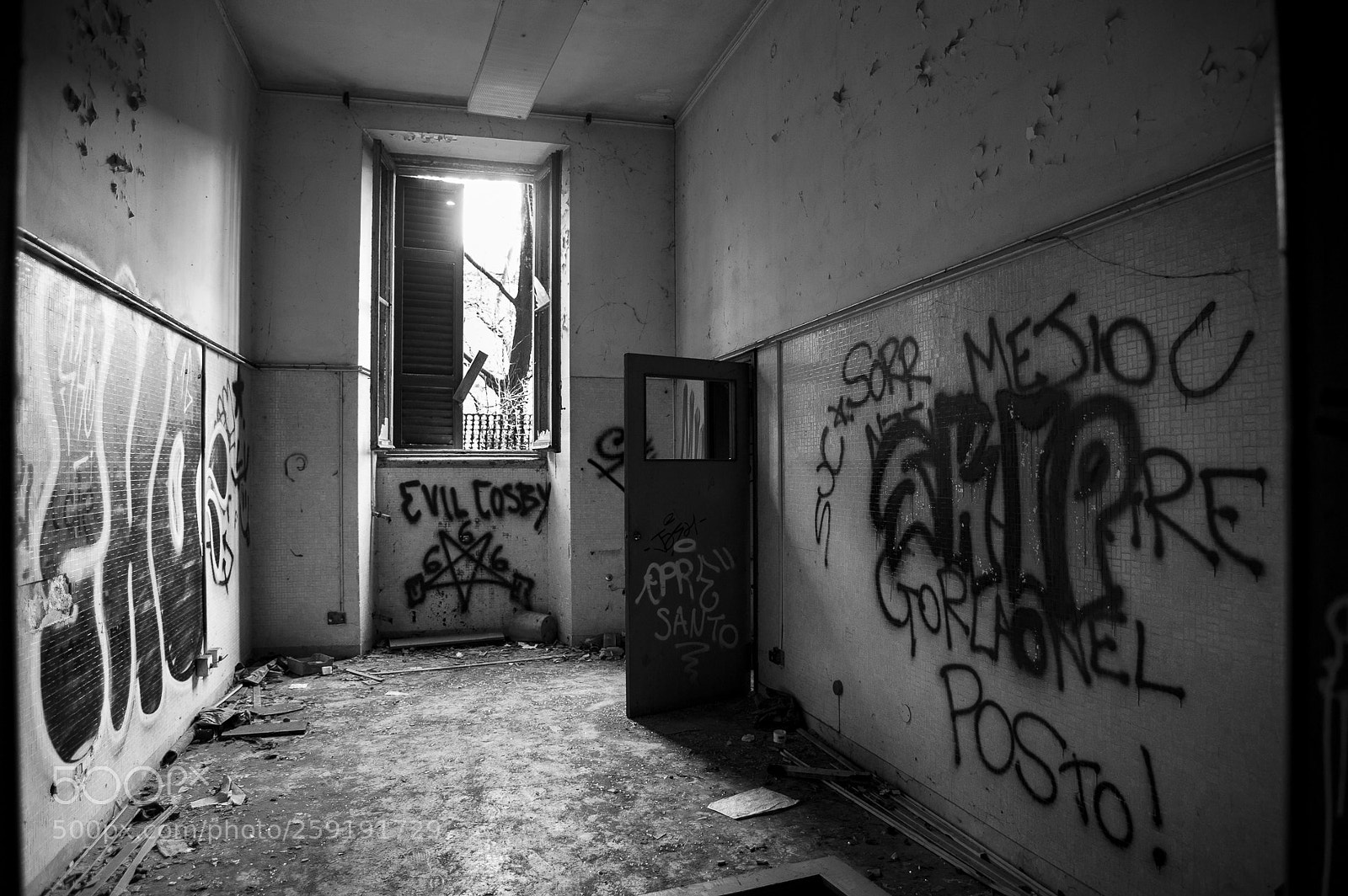 Nikon D700 sample photo. Mombello photography