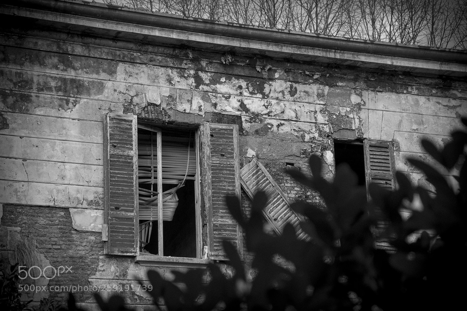 Nikon D700 sample photo. Mombello photography