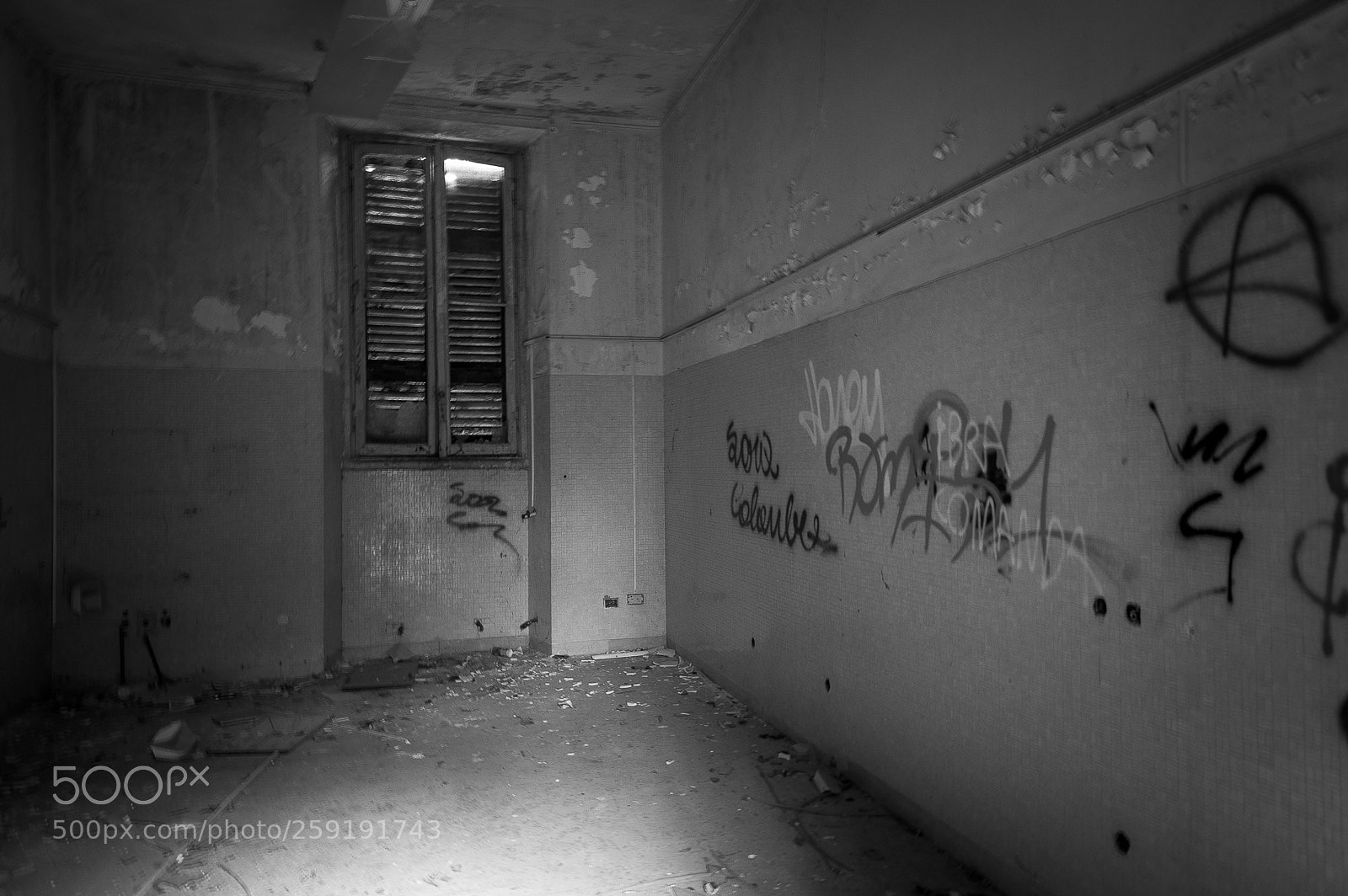 Nikon D700 sample photo. Mombello photography
