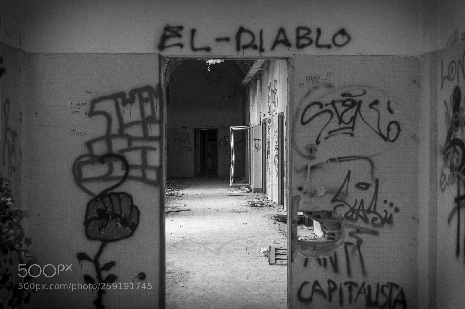 Nikon D700 sample photo. Mombello photography