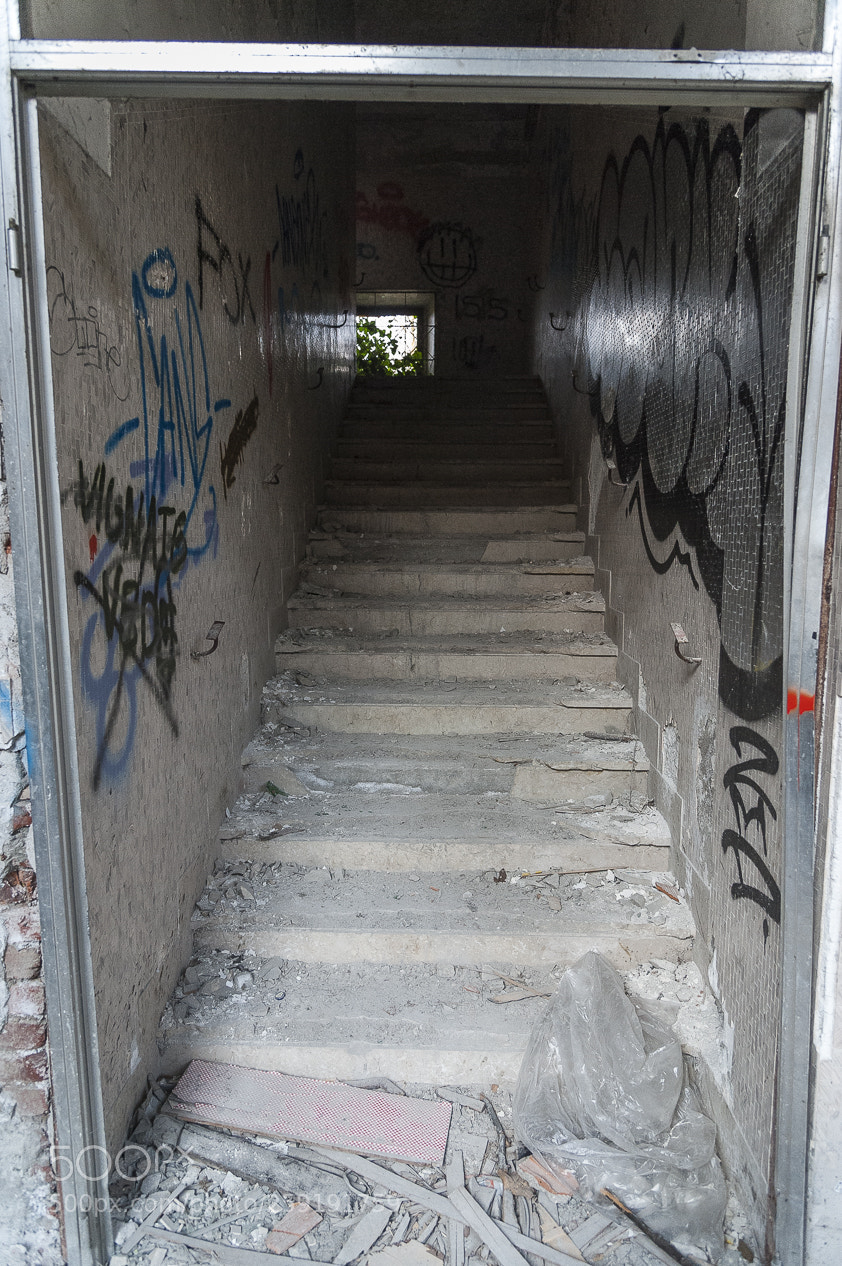 Nikon D700 sample photo. Mombello photography