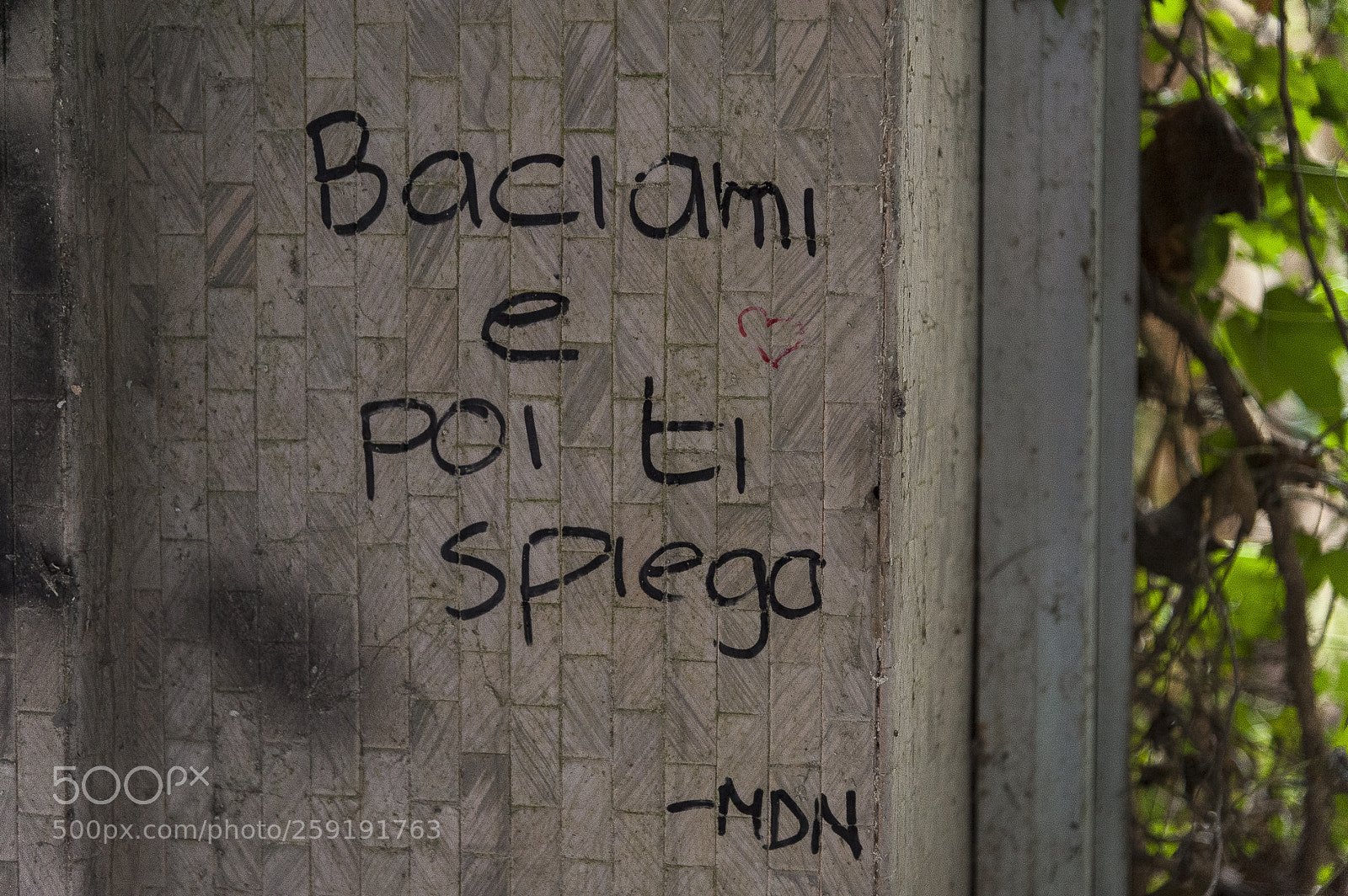 Nikon D700 sample photo. Mombello photography
