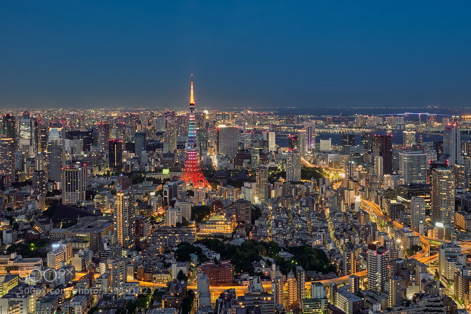 Fujifilm X-T20 sample photo. Tokyo skyline photography