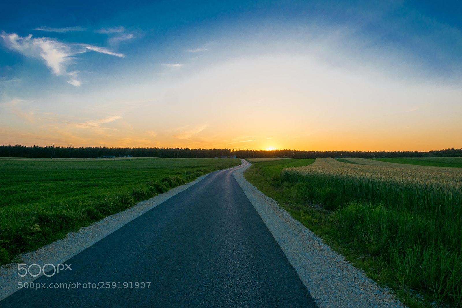 Nikon D5300 sample photo. Fields at sunset photography