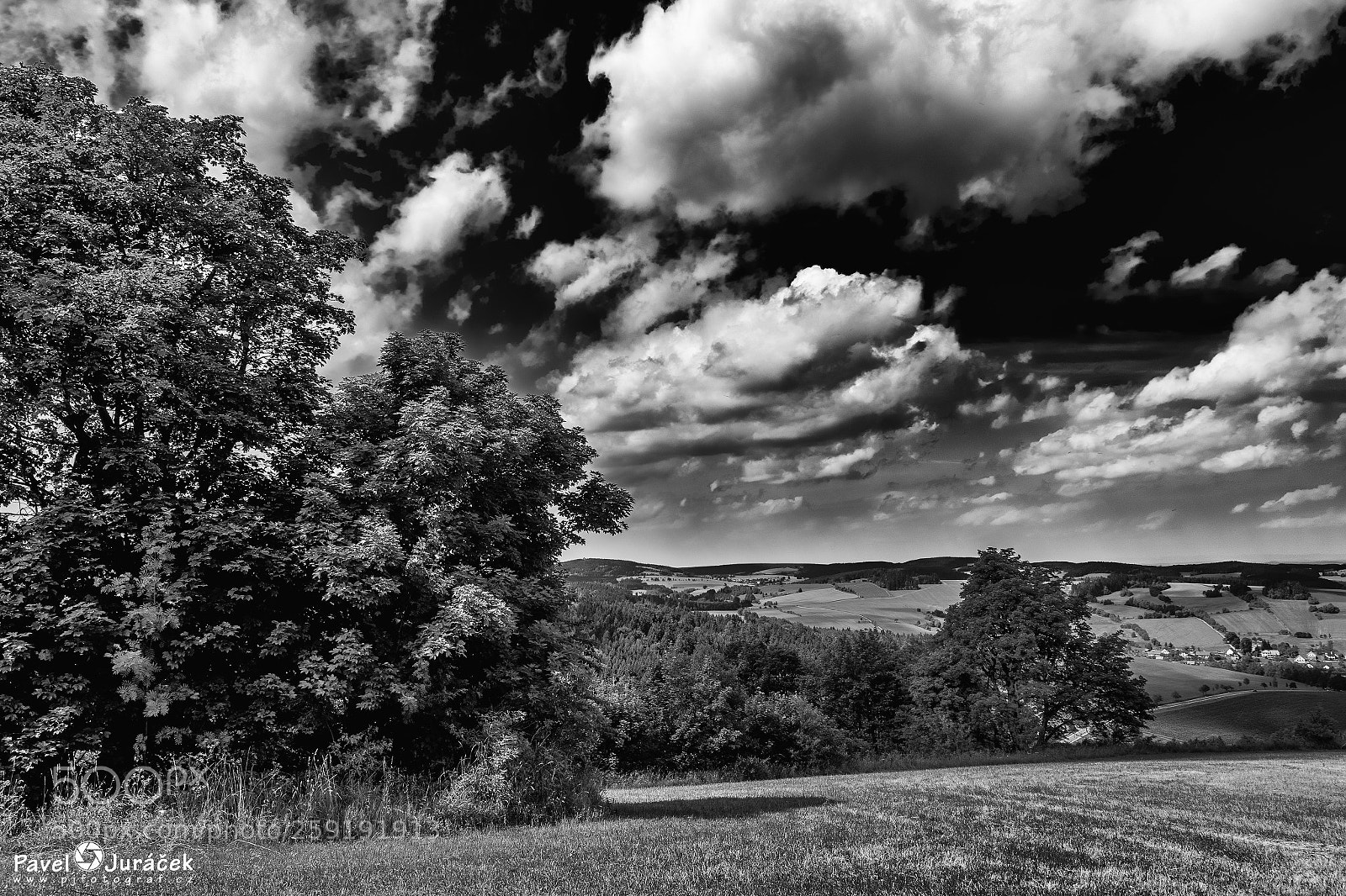 Nikon D5600 sample photo. Vysočinou ... 61. bw photography
