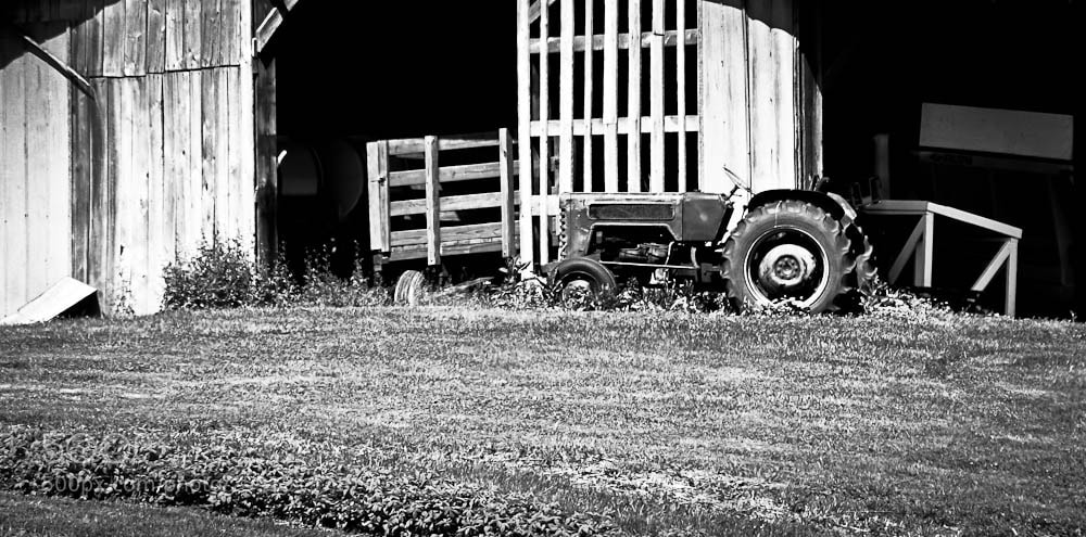 Nikon D80 sample photo. Untitled photography