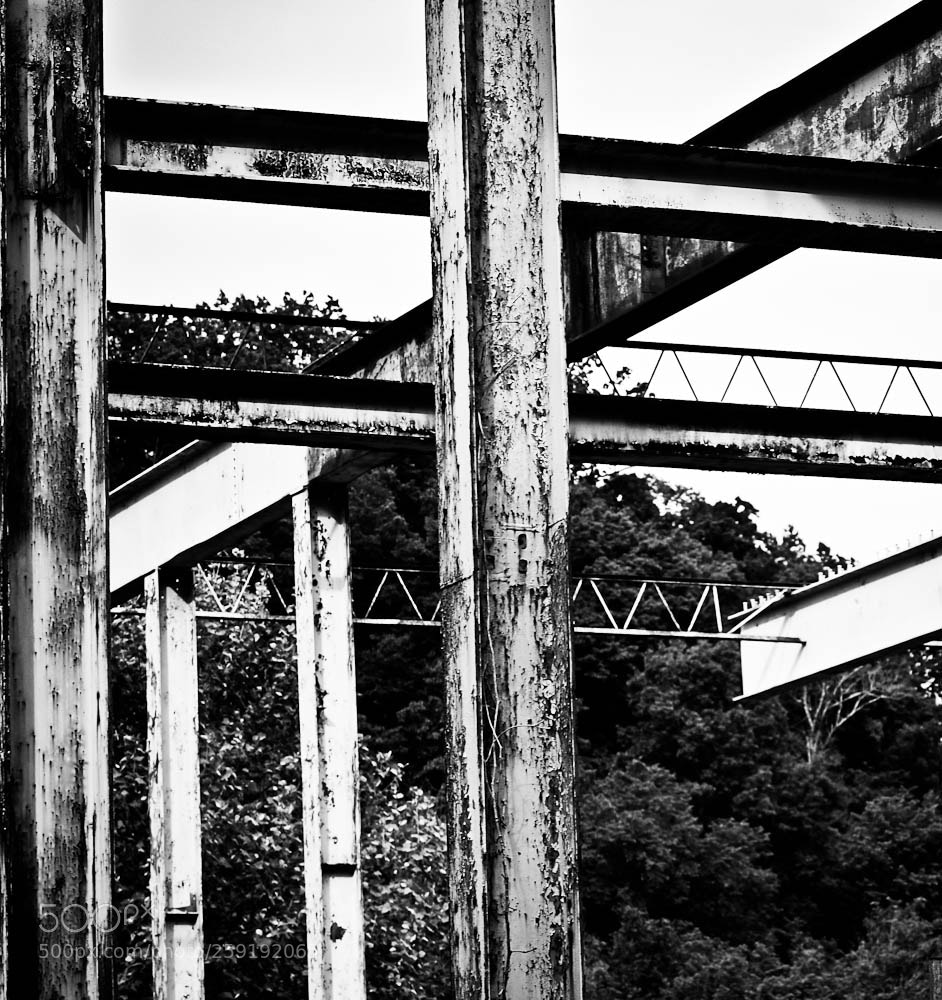 Nikon D80 sample photo. Untitled photography