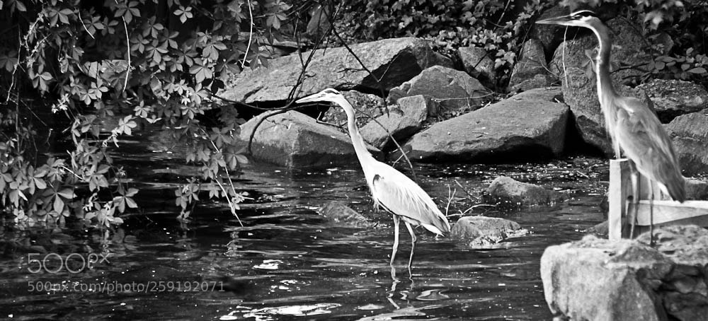 Nikon D80 sample photo. Untitled photography