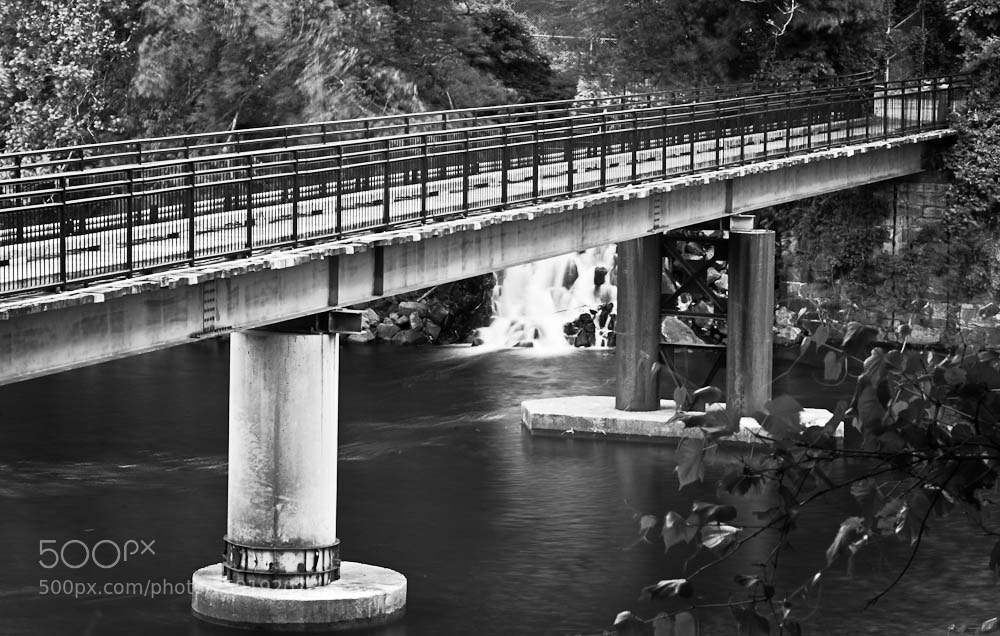 Nikon D80 sample photo. Untitled photography