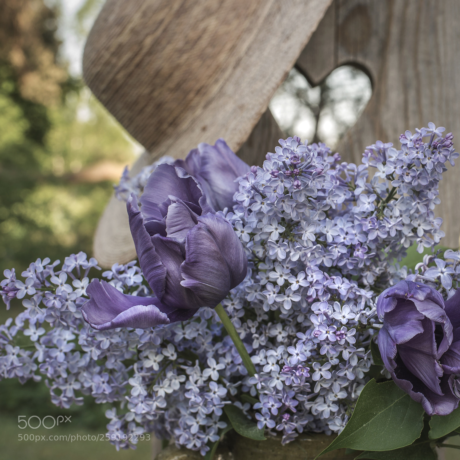 Nikon D610 sample photo. Bouquet of purple lilac photography