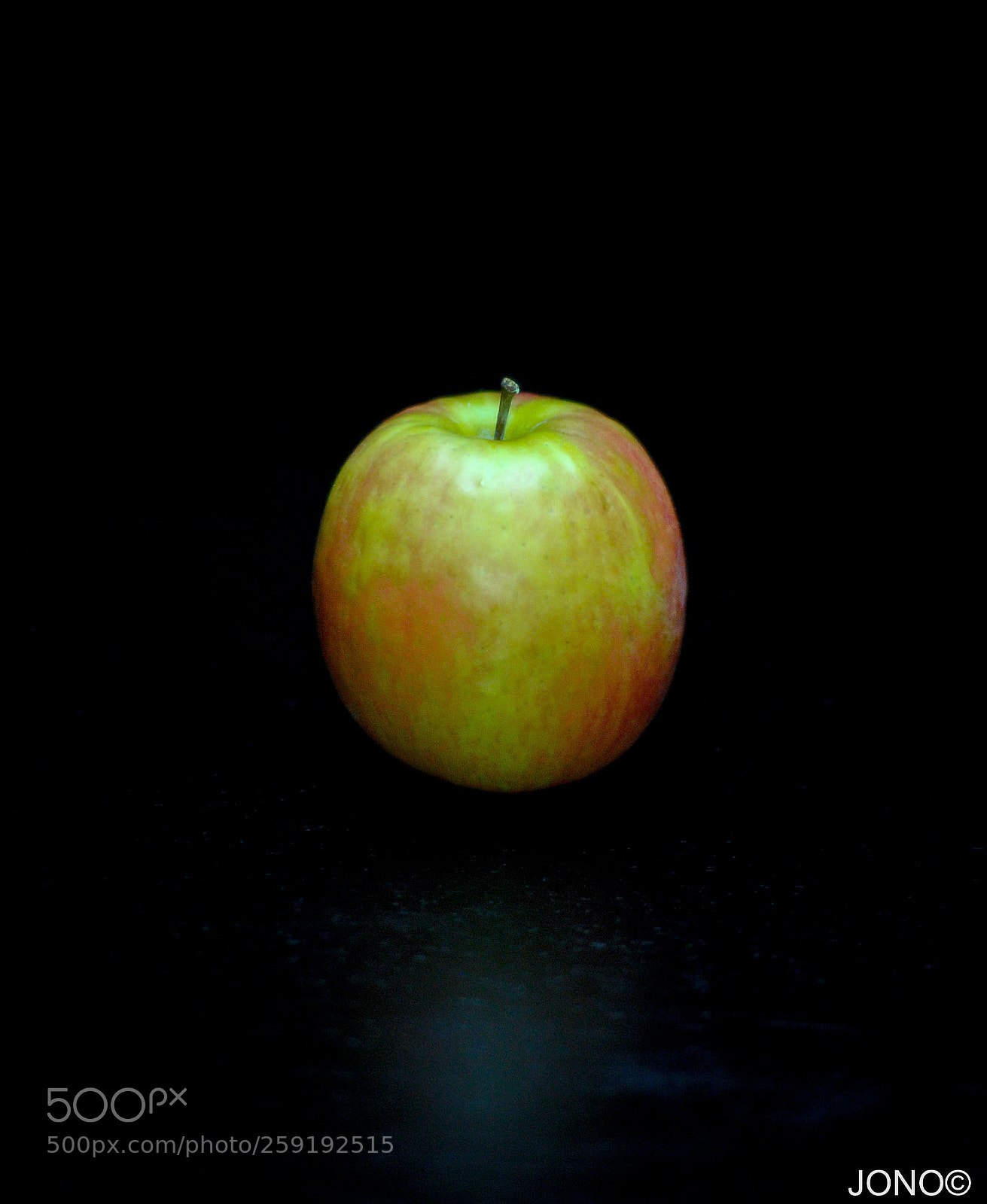 Nikon D80 sample photo. Untitled photography