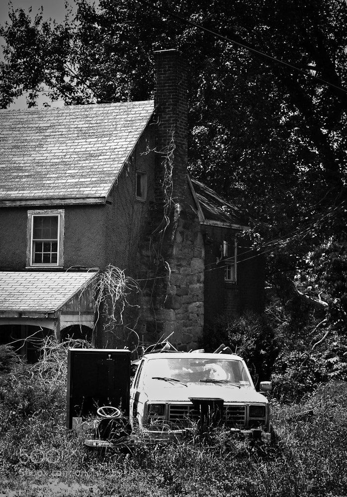 Nikon D80 sample photo. Untitled photography