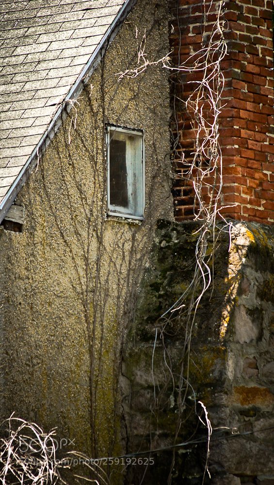 Nikon D80 sample photo. Untitled photography