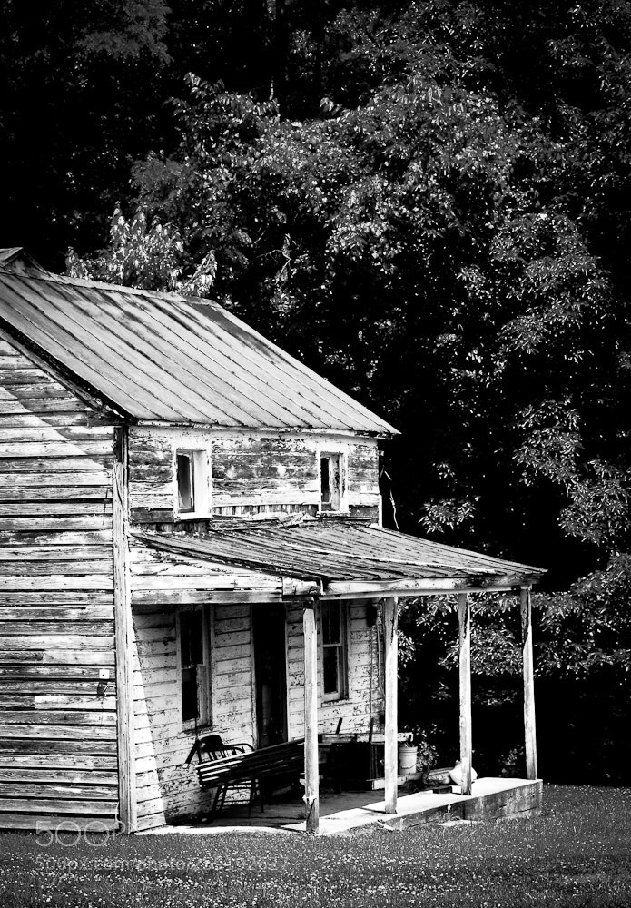 Nikon D80 sample photo. Untitled photography