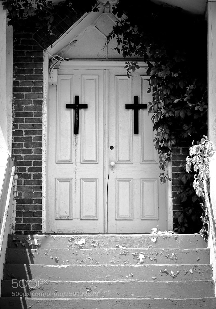 Nikon D80 sample photo. Untitled photography