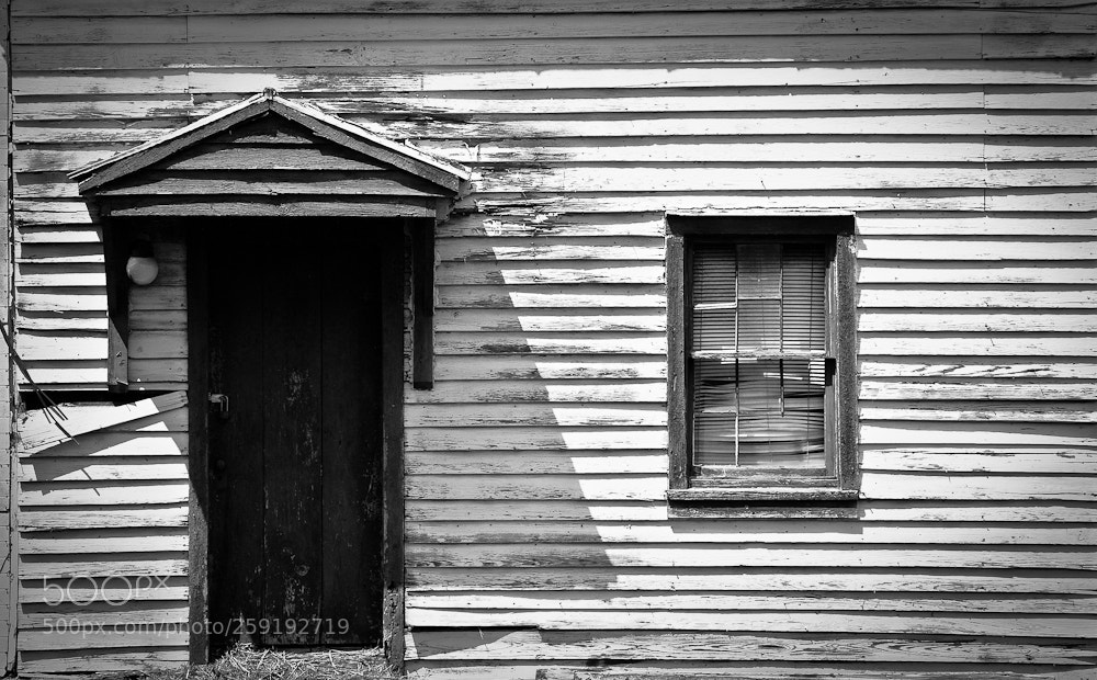 Nikon D80 sample photo. Untitled photography