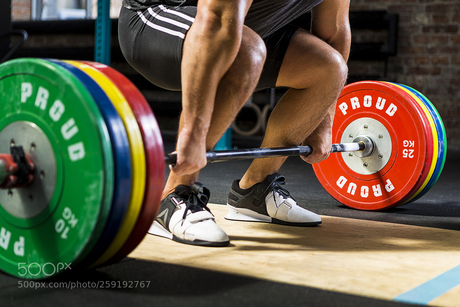 Canon EOS 6D sample photo. Weights photography