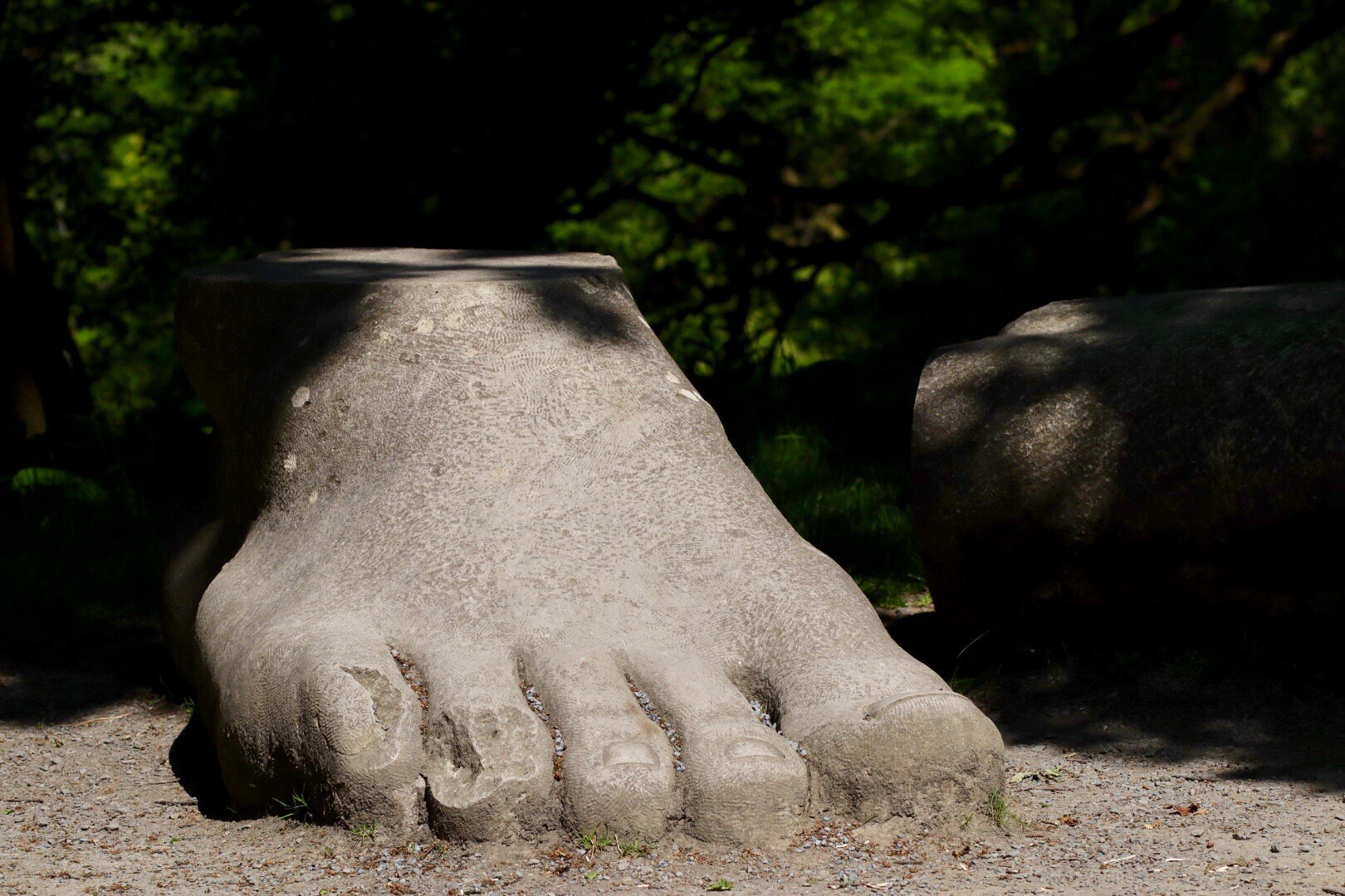 Canon EOS M50 (EOS Kiss M) sample photo. The giant’s foot photography