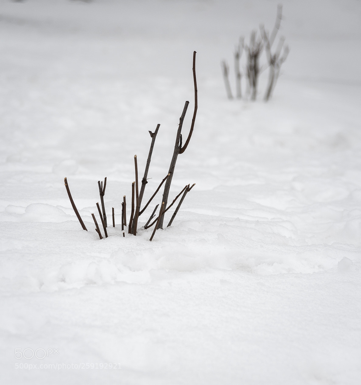 Nikon D700 sample photo. Helsinki photography