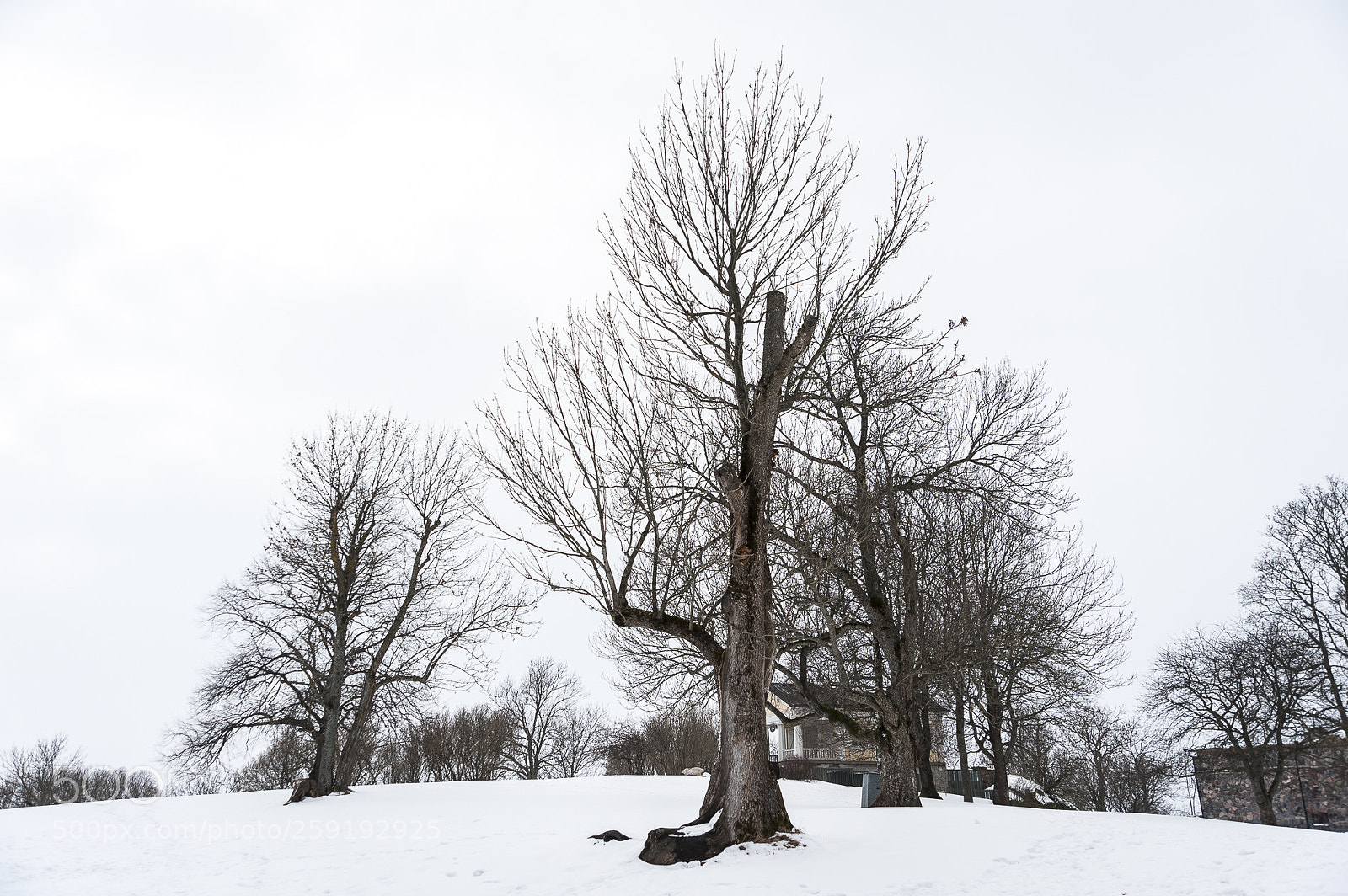 Nikon D700 sample photo. Helsinki photography