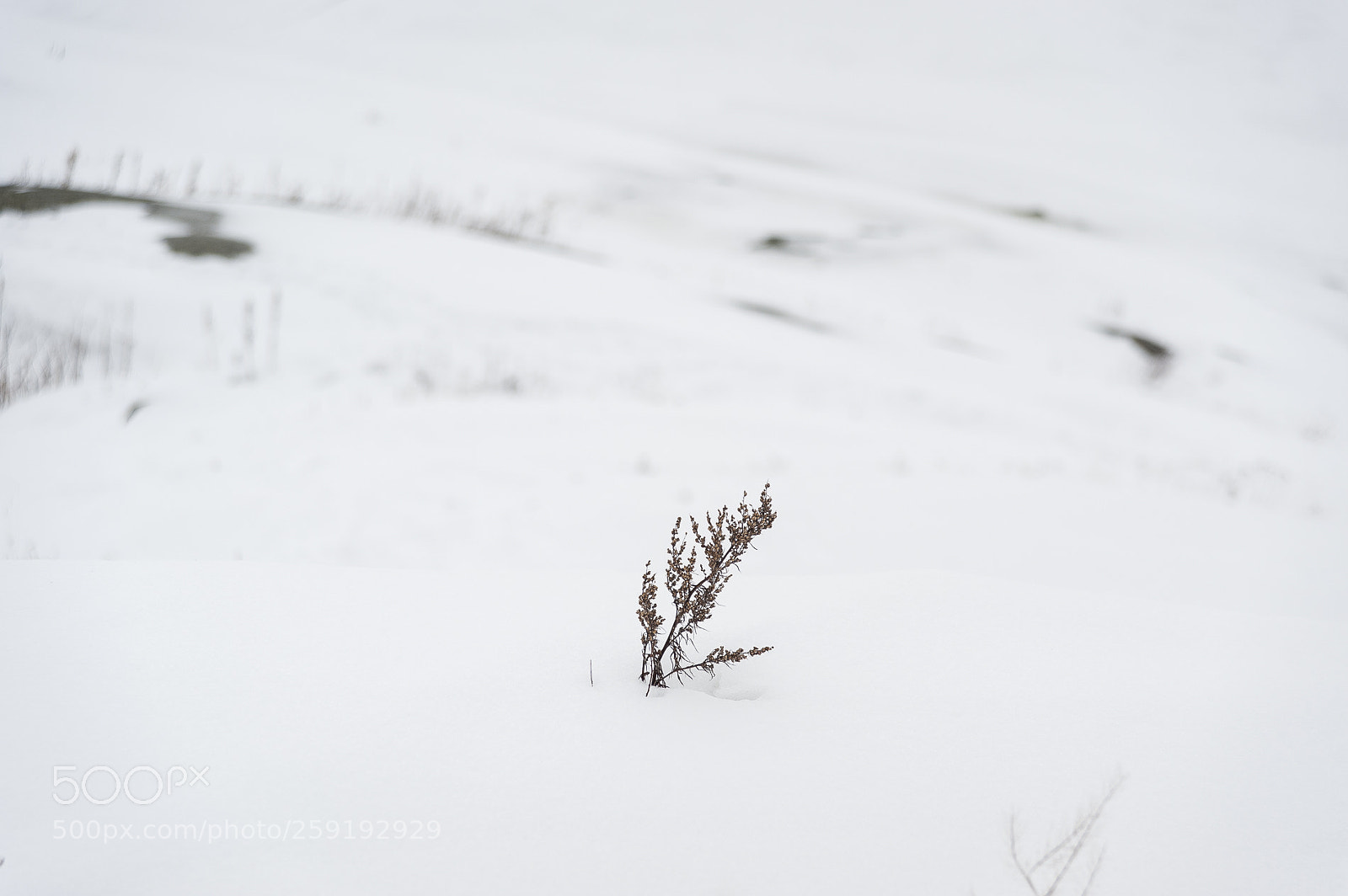 Nikon D700 sample photo. Helsinki photography