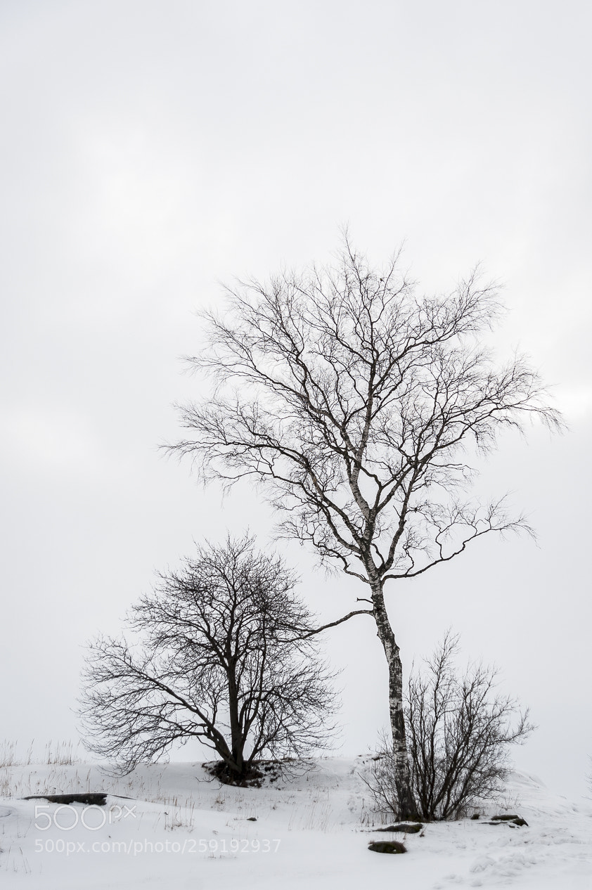 Nikon D700 sample photo. Helsinki photography