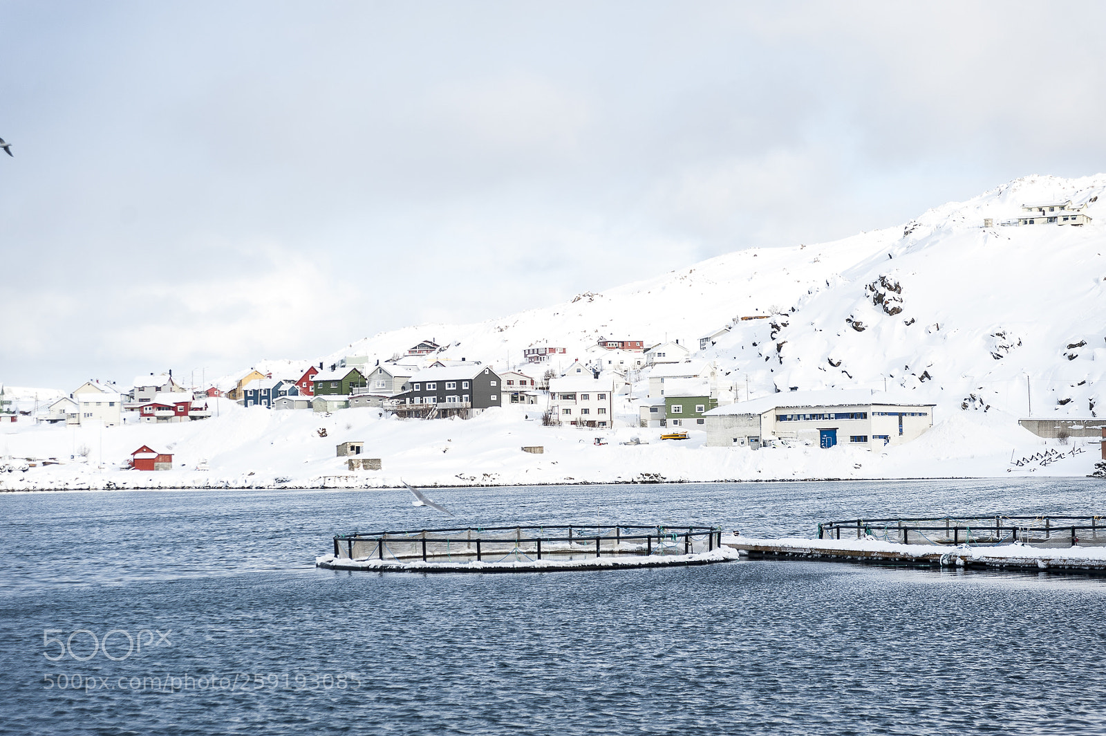 Nikon D700 sample photo. Capo nord photography