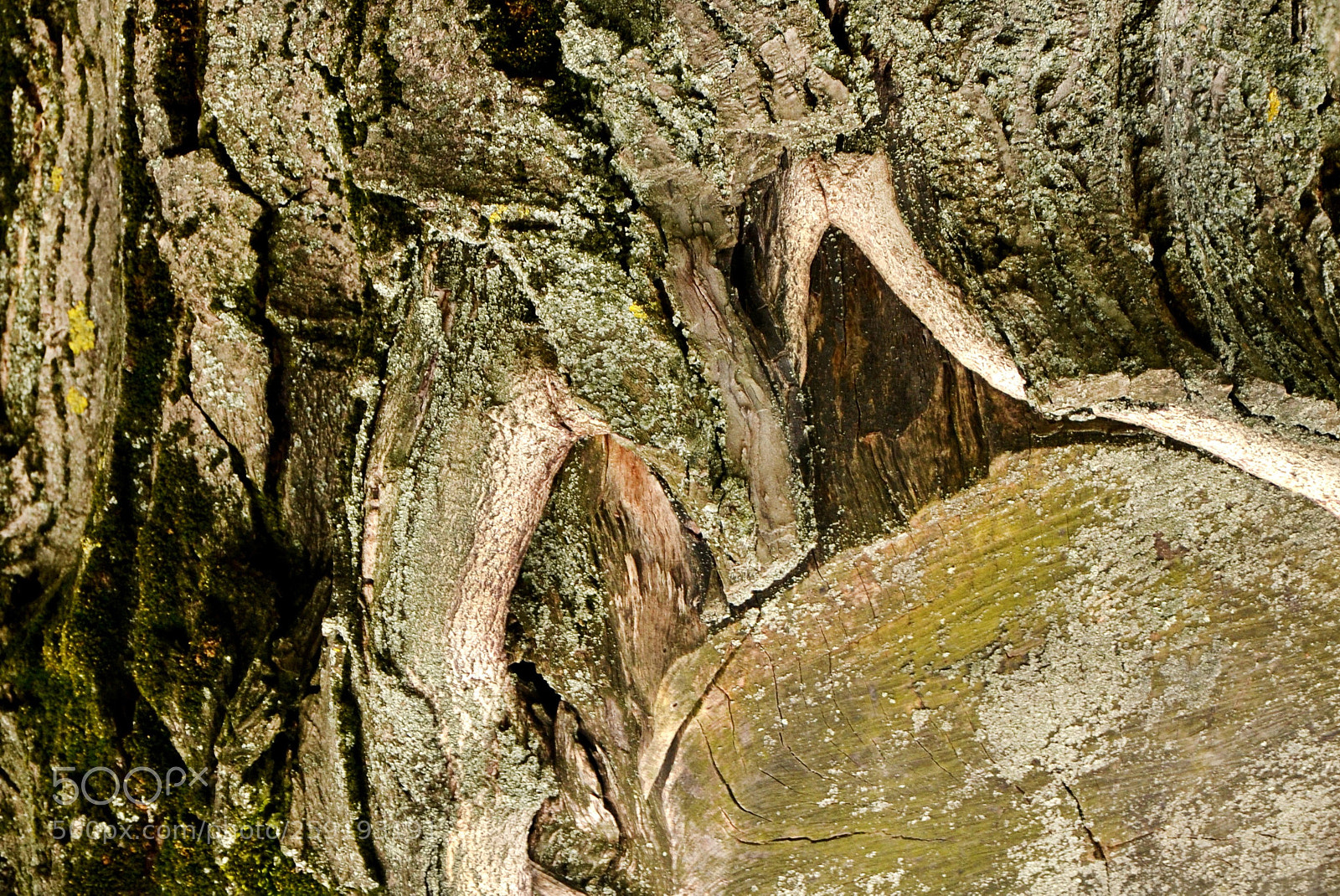 Nikon D3100 sample photo. Old photography