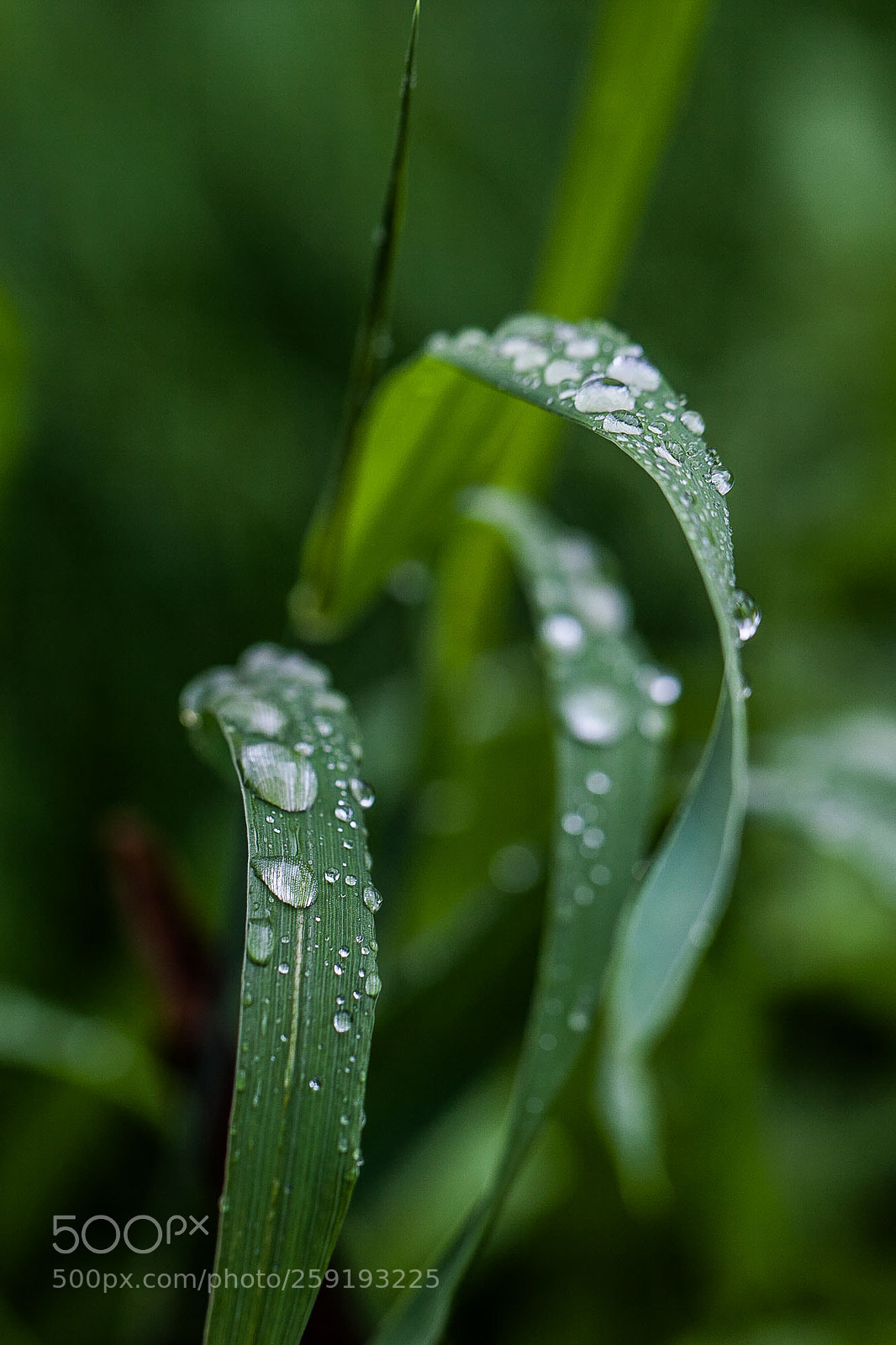 Canon EOS 5D Mark II sample photo. Untitled photography