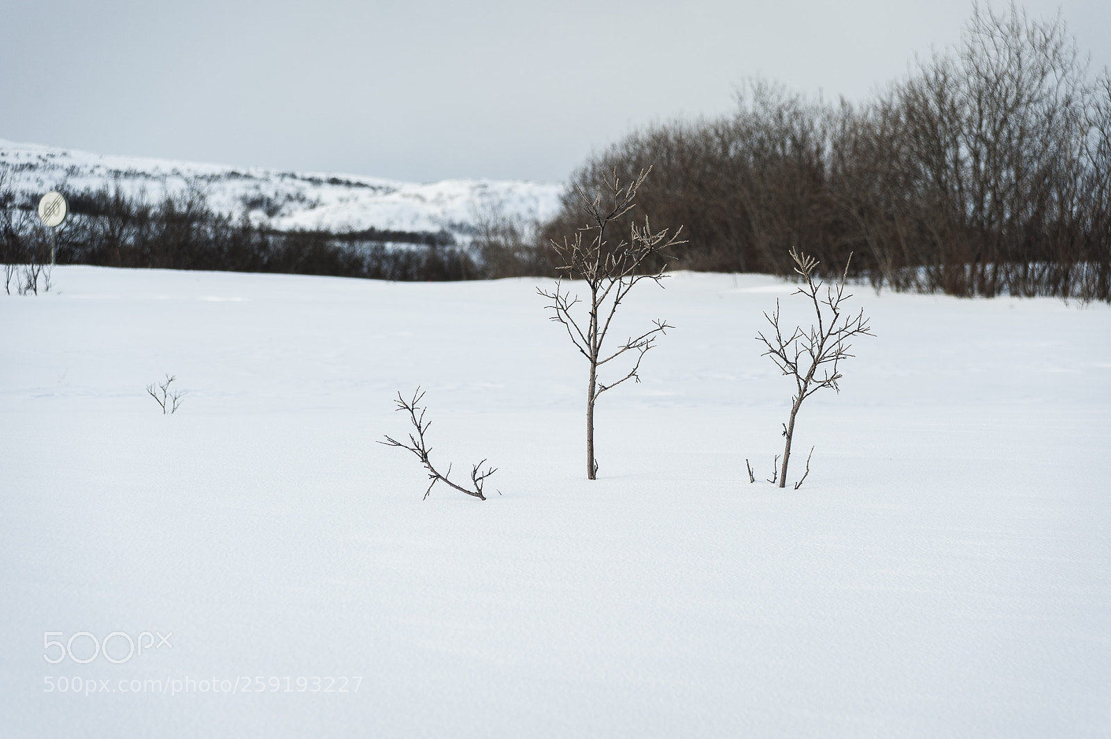 Nikon D700 sample photo. Capo nord photography
