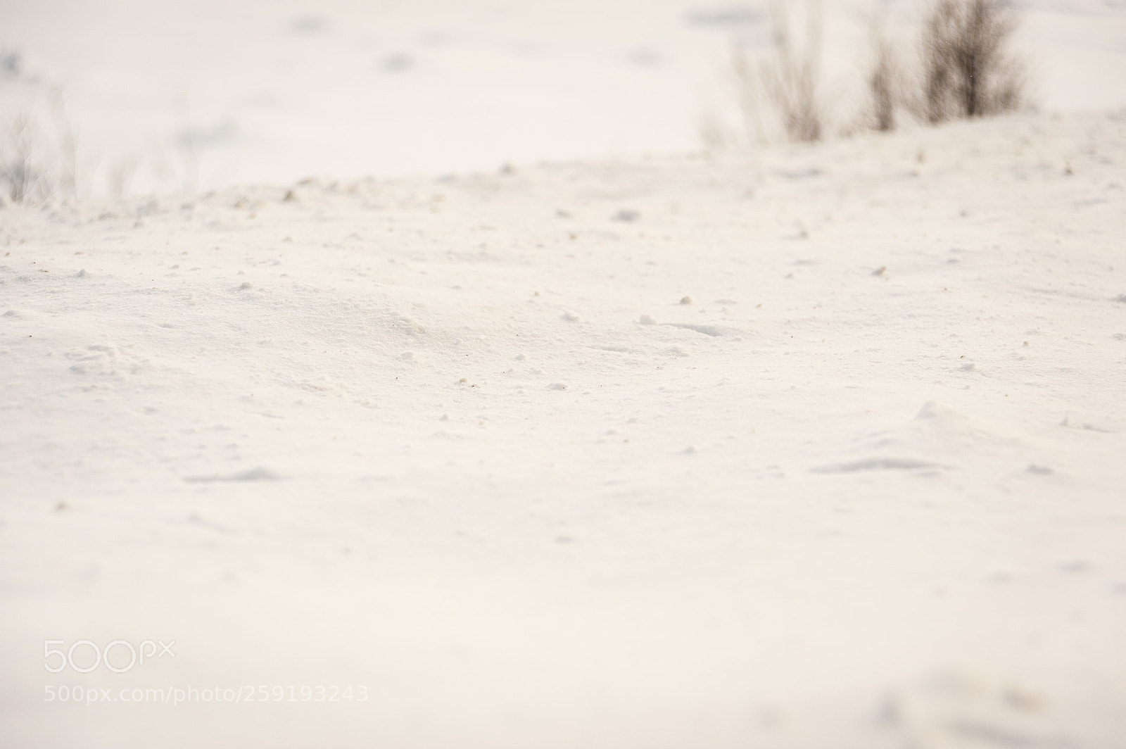 Nikon D700 sample photo. Capo nord photography