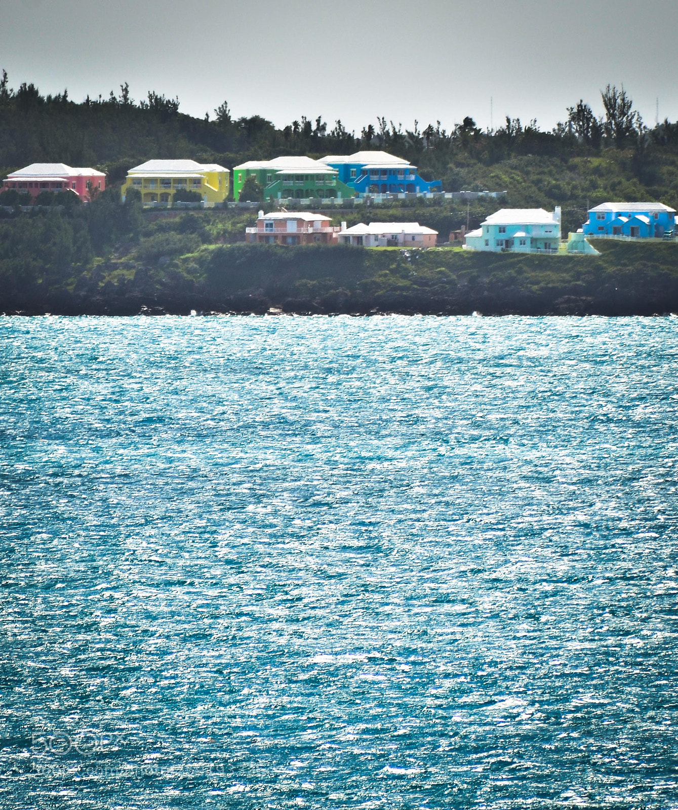 Nikon D7000 sample photo. Untitled photography