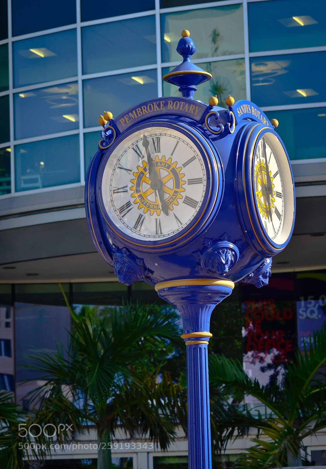 Nikon D7000 sample photo. Untitled photography