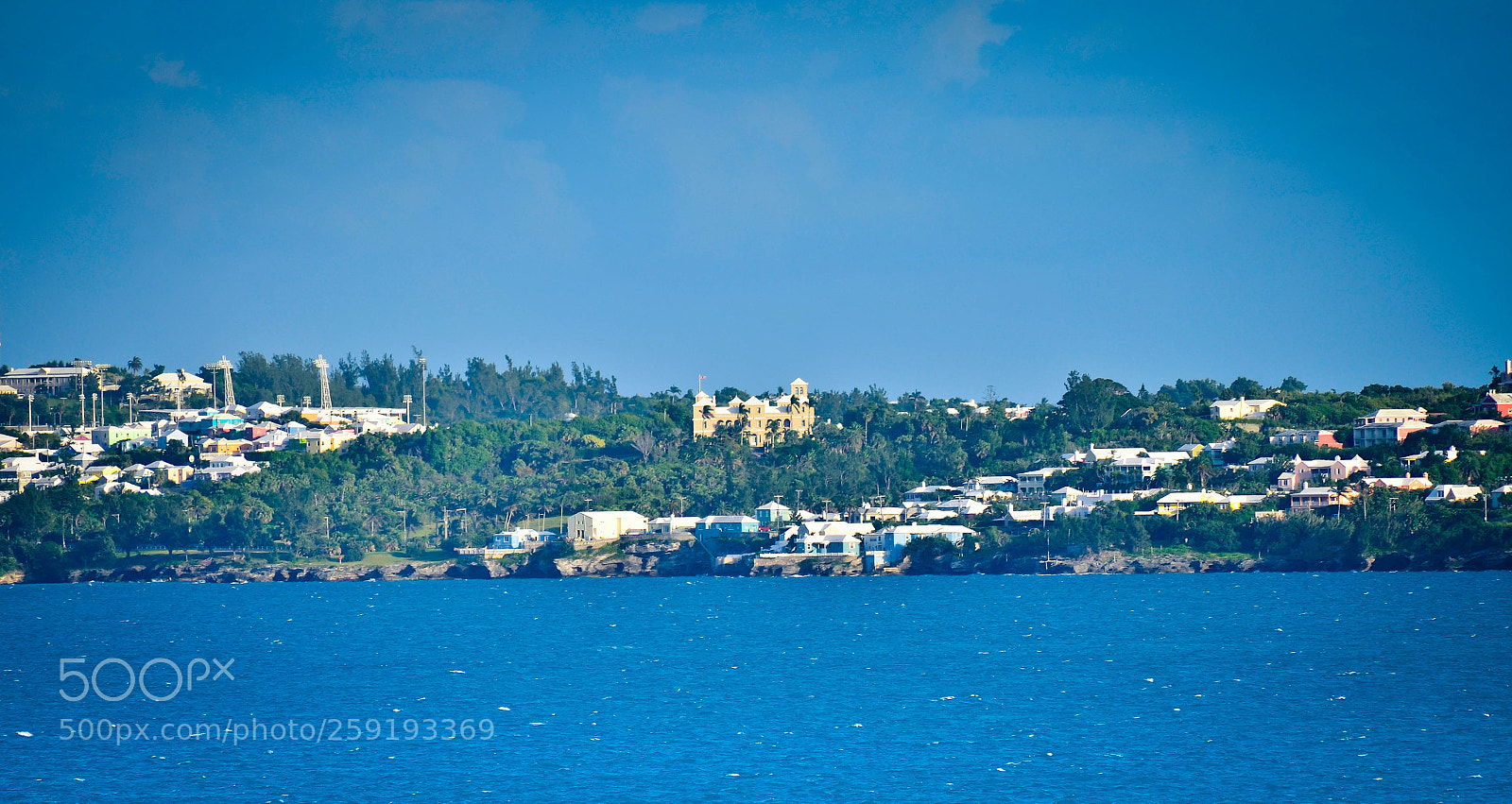 Nikon D7000 sample photo. Untitled photography