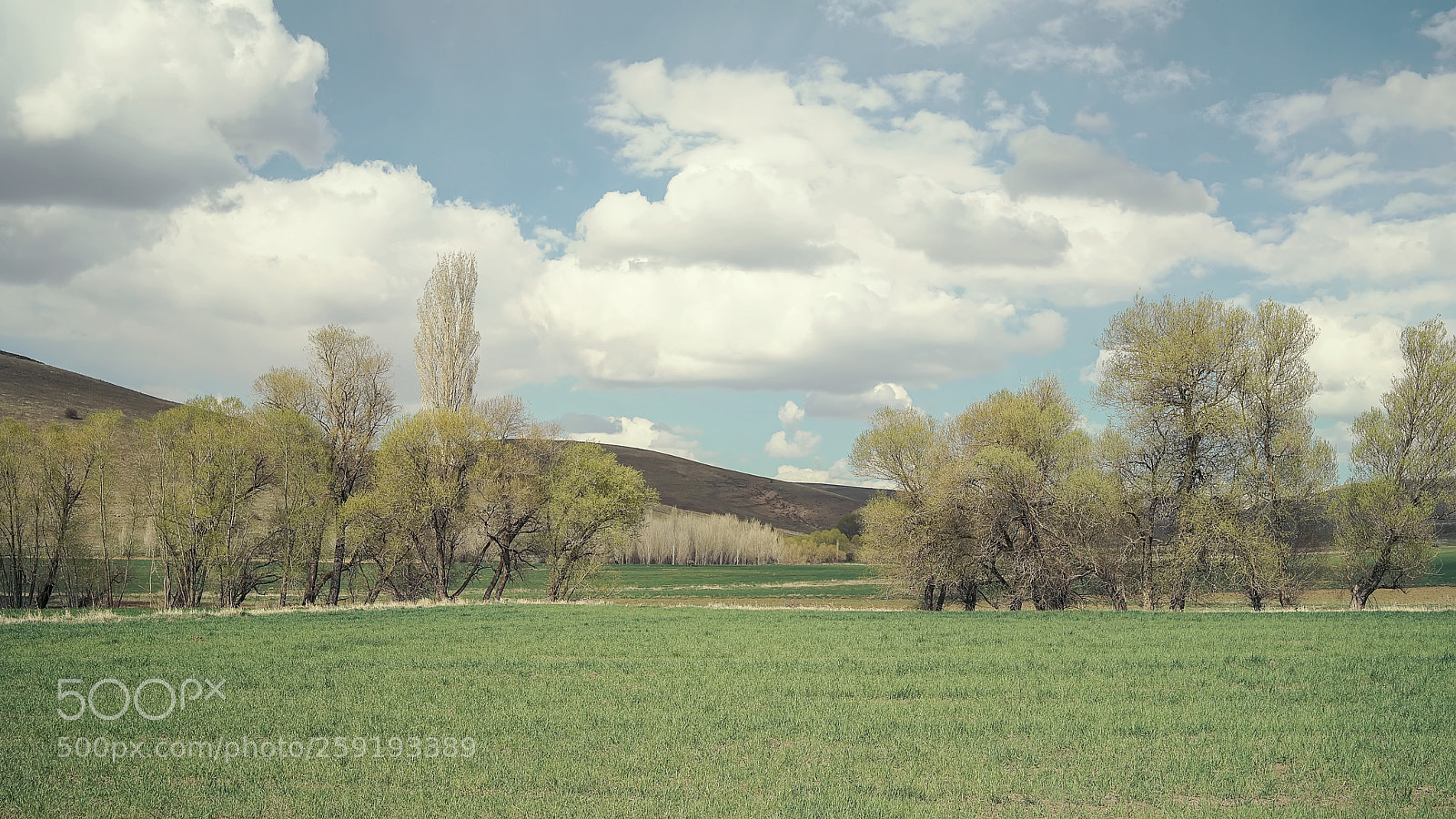 Sony a7 II sample photo. Hbk photography
