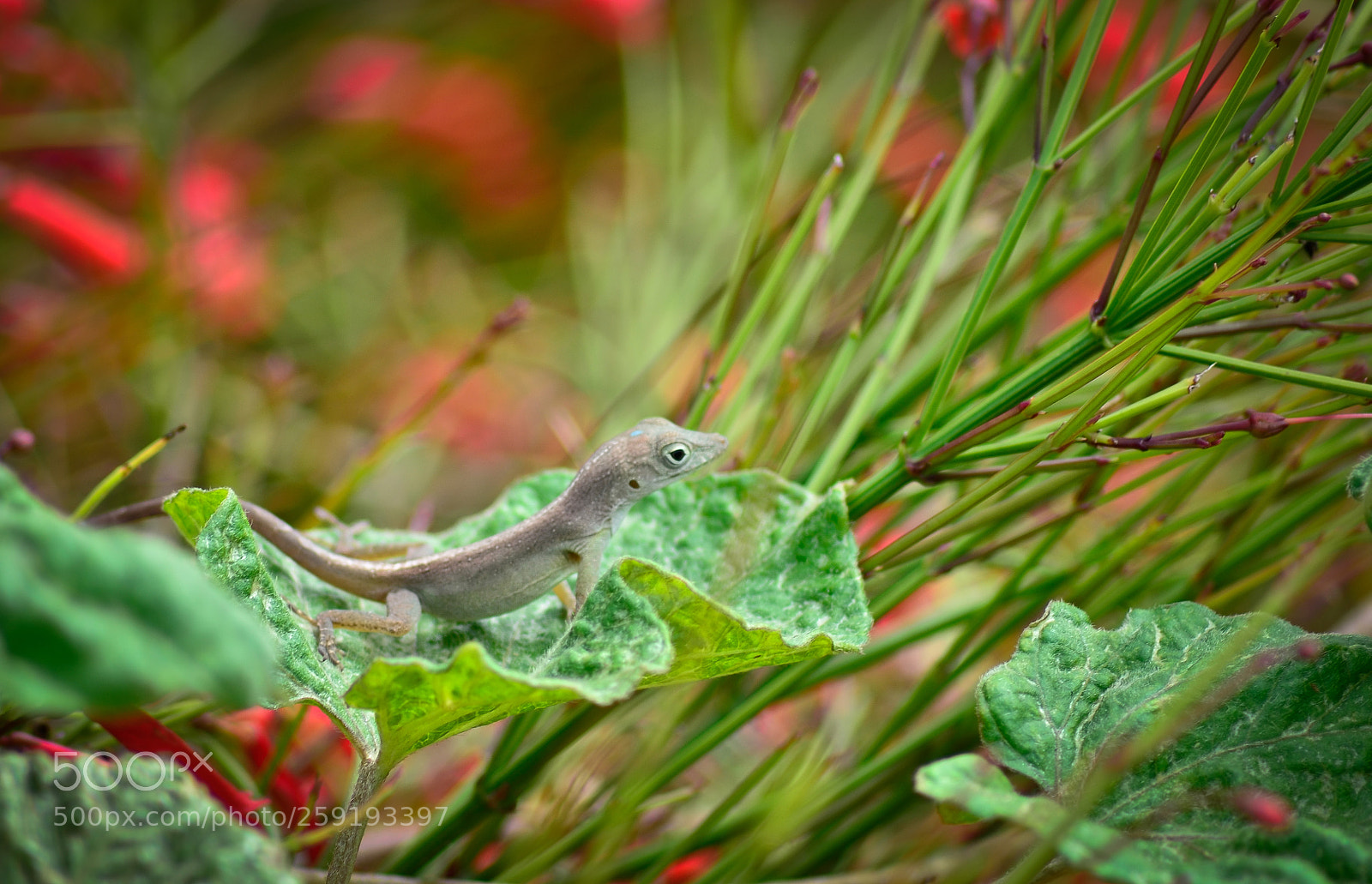 Nikon D7000 sample photo. Untitled photography