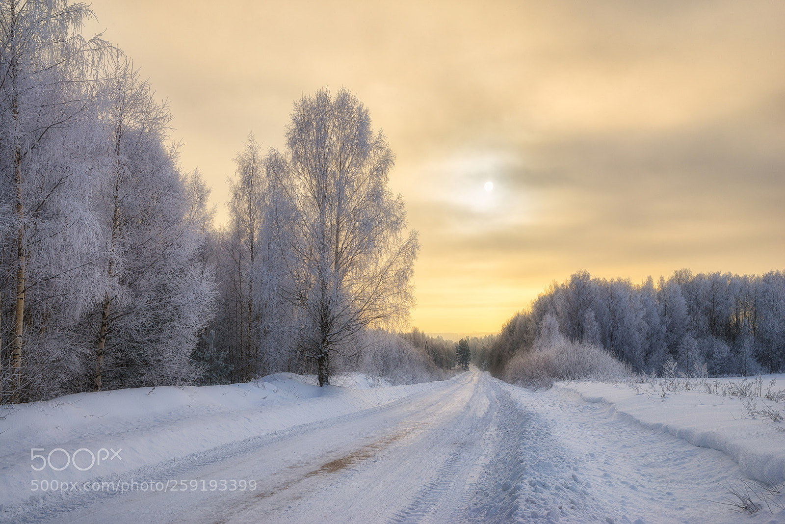 Nikon D610 sample photo. 928. the road to photography