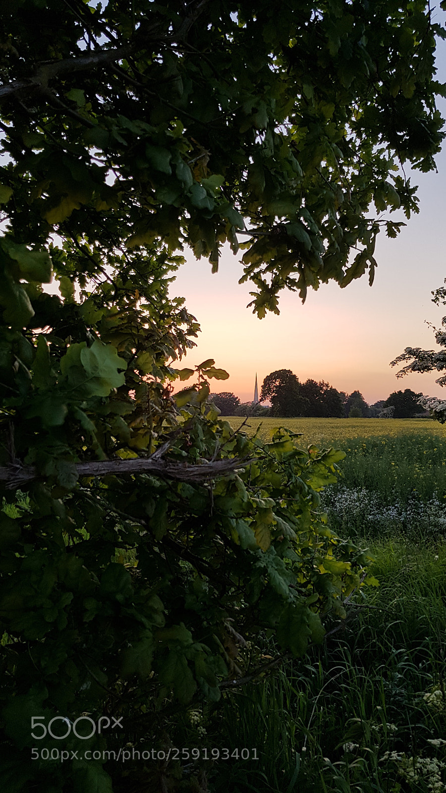 Samsung Galaxy S8 sample photo. Spire photography