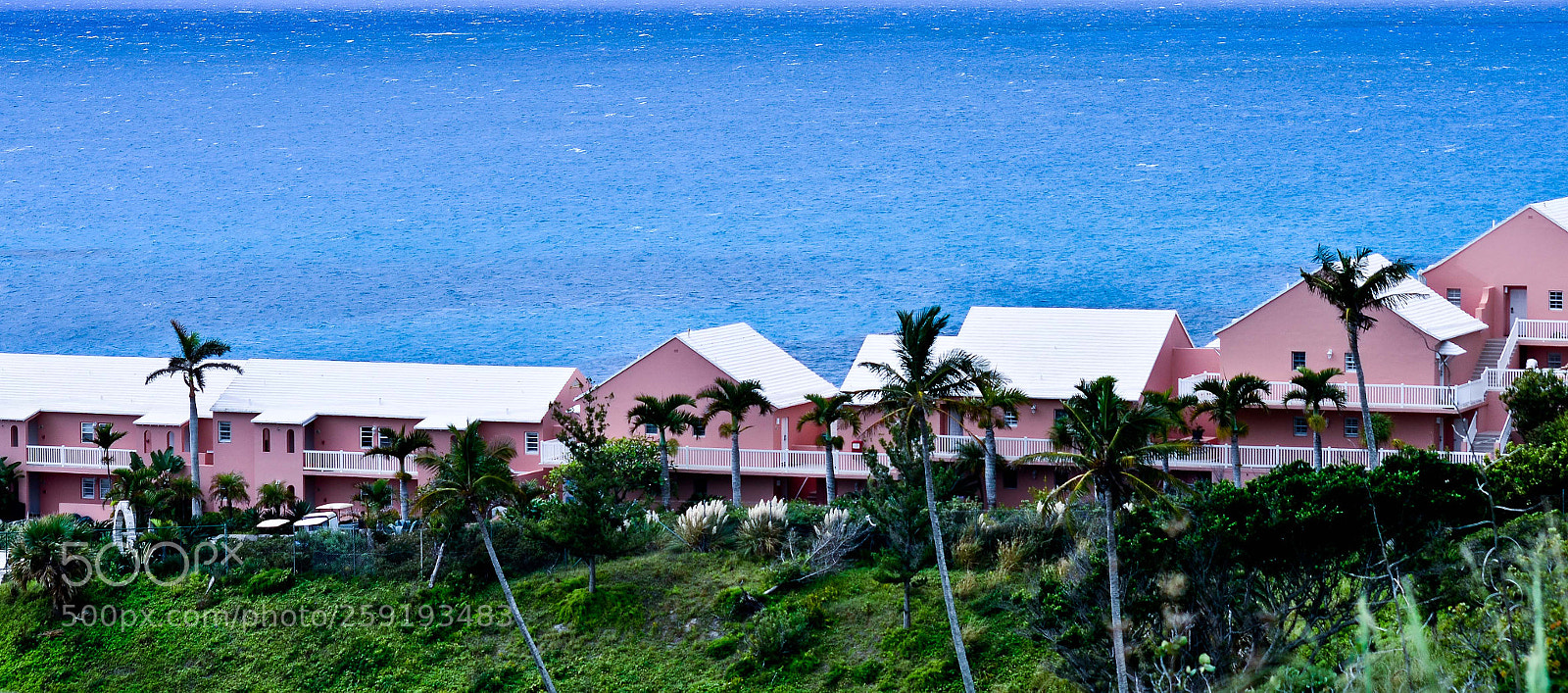 Nikon D7000 sample photo. Untitled photography