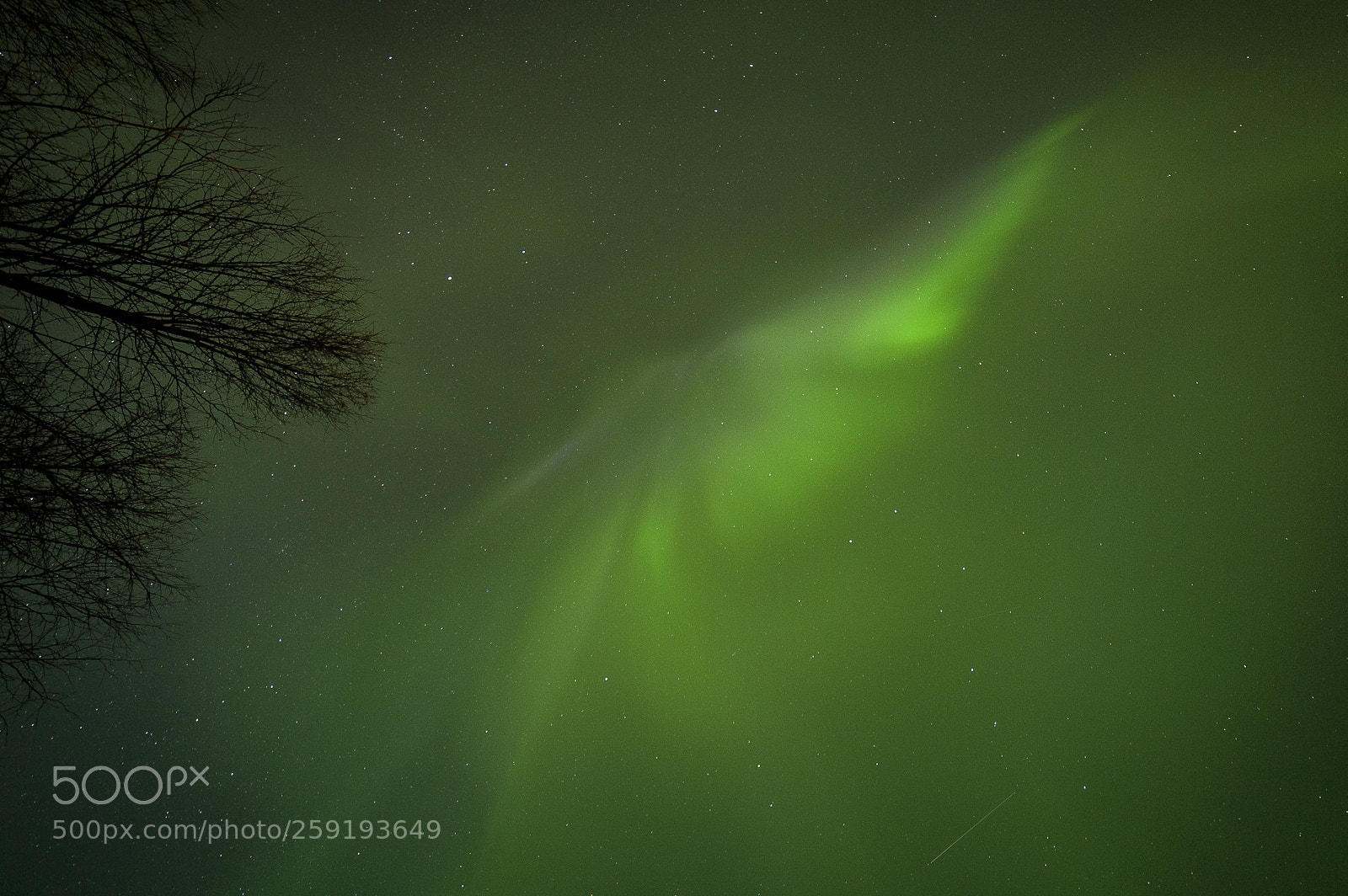 Nikon D700 sample photo. Aurora photography