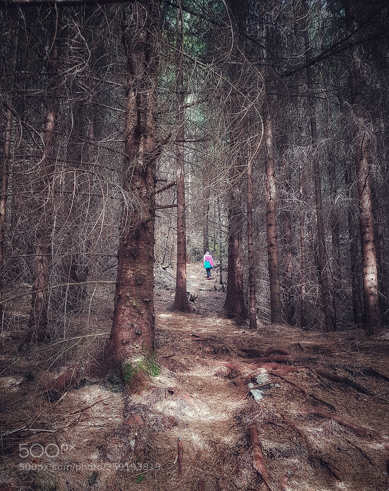 Samsung Galaxy S7 sample photo. Woodland hike photography