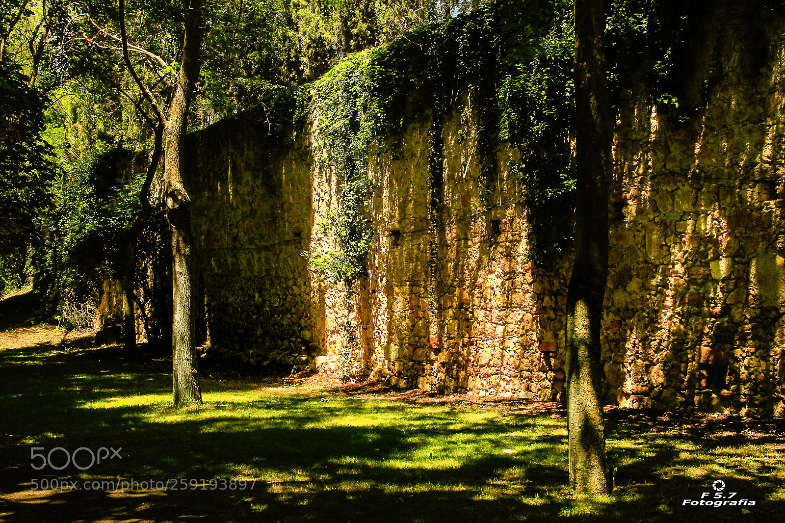 Canon EOS 7D sample photo. Parque de la alameda photography