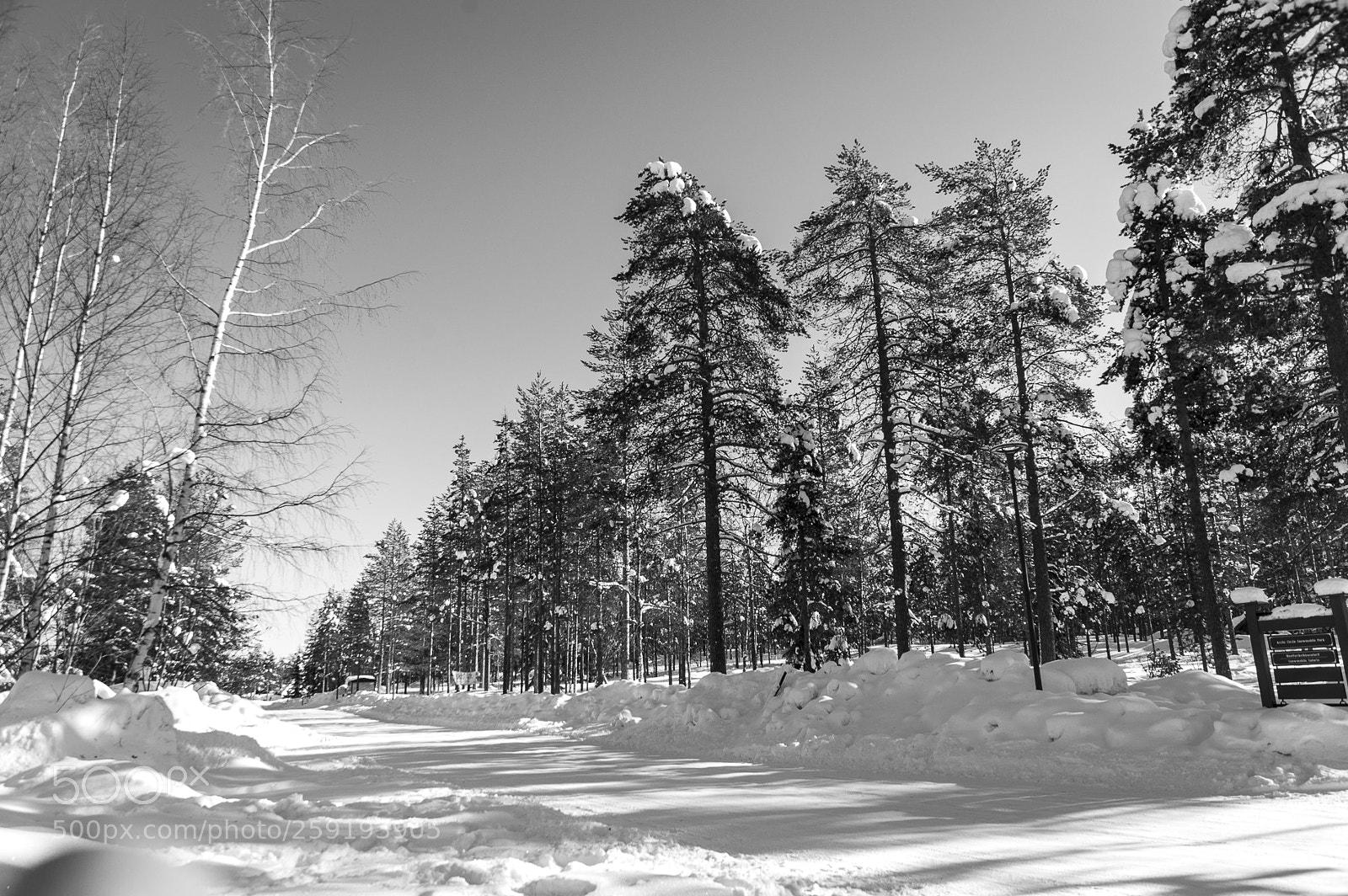 Nikon D700 sample photo. Rovaniemi photography