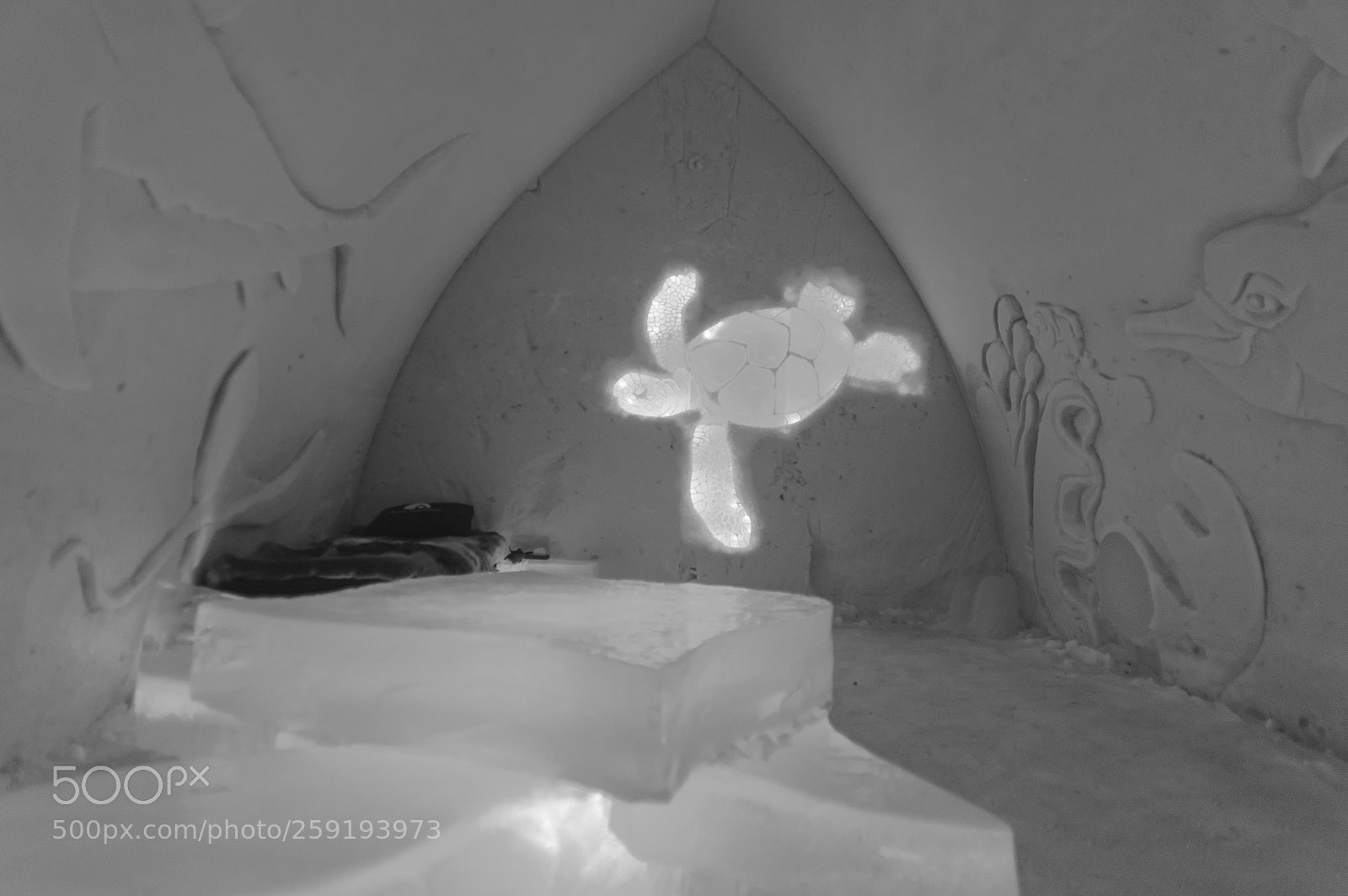 Nikon D700 sample photo. Rovaniemi photography