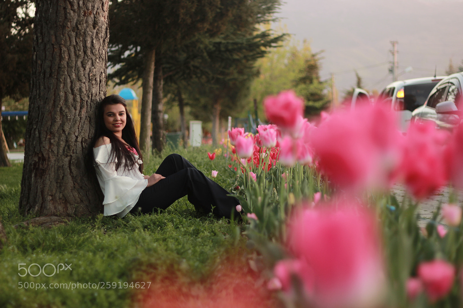 Canon EOS 60D + Canon EF 50mm F1.8 II sample photo. Img photography