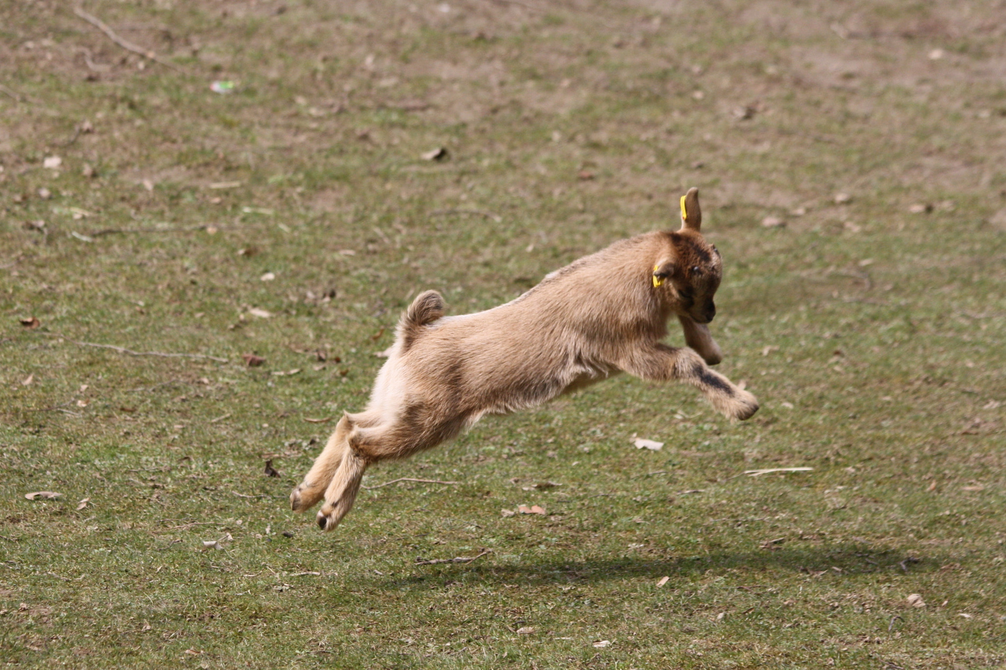Canon EOS 1000D (EOS Digital Rebel XS / EOS Kiss F) sample photo. Happy photography