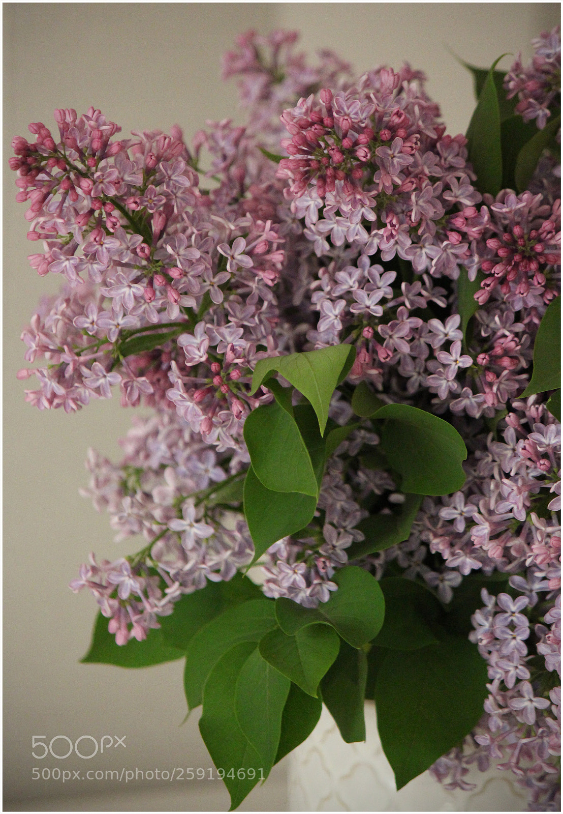 Canon EOS 650D (EOS Rebel T4i / EOS Kiss X6i) sample photo. Spring romance photography