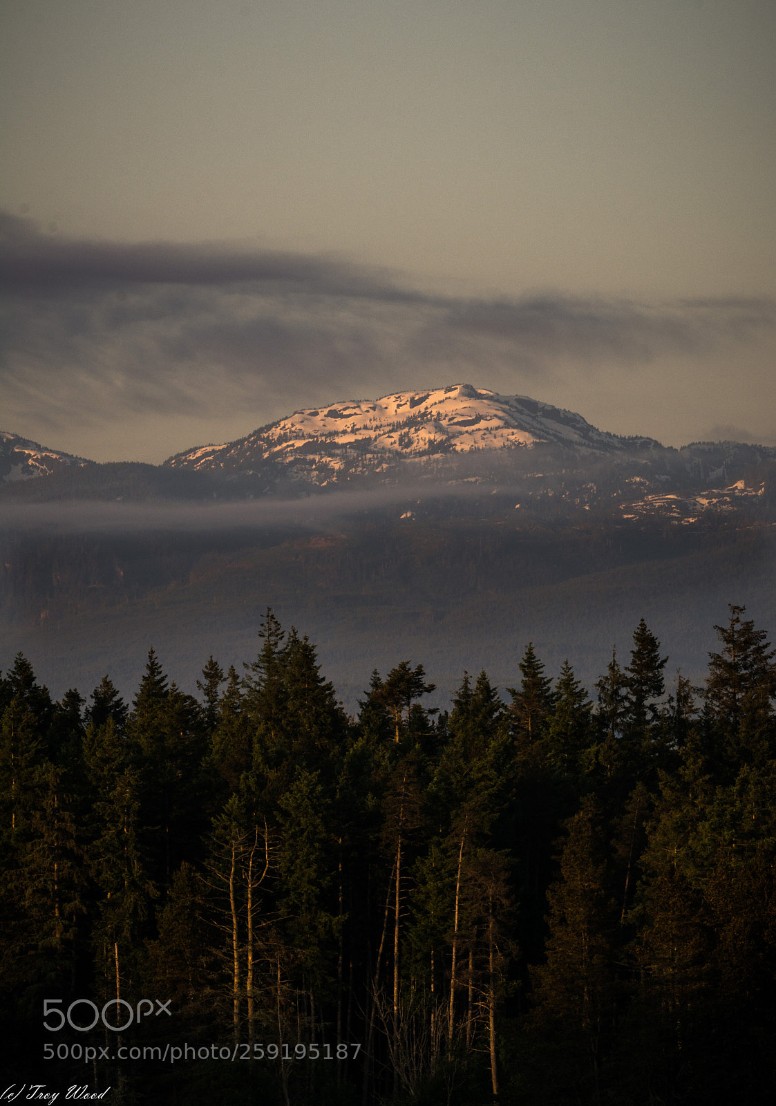 Nikon D7100 sample photo. The comox misty mountain photography