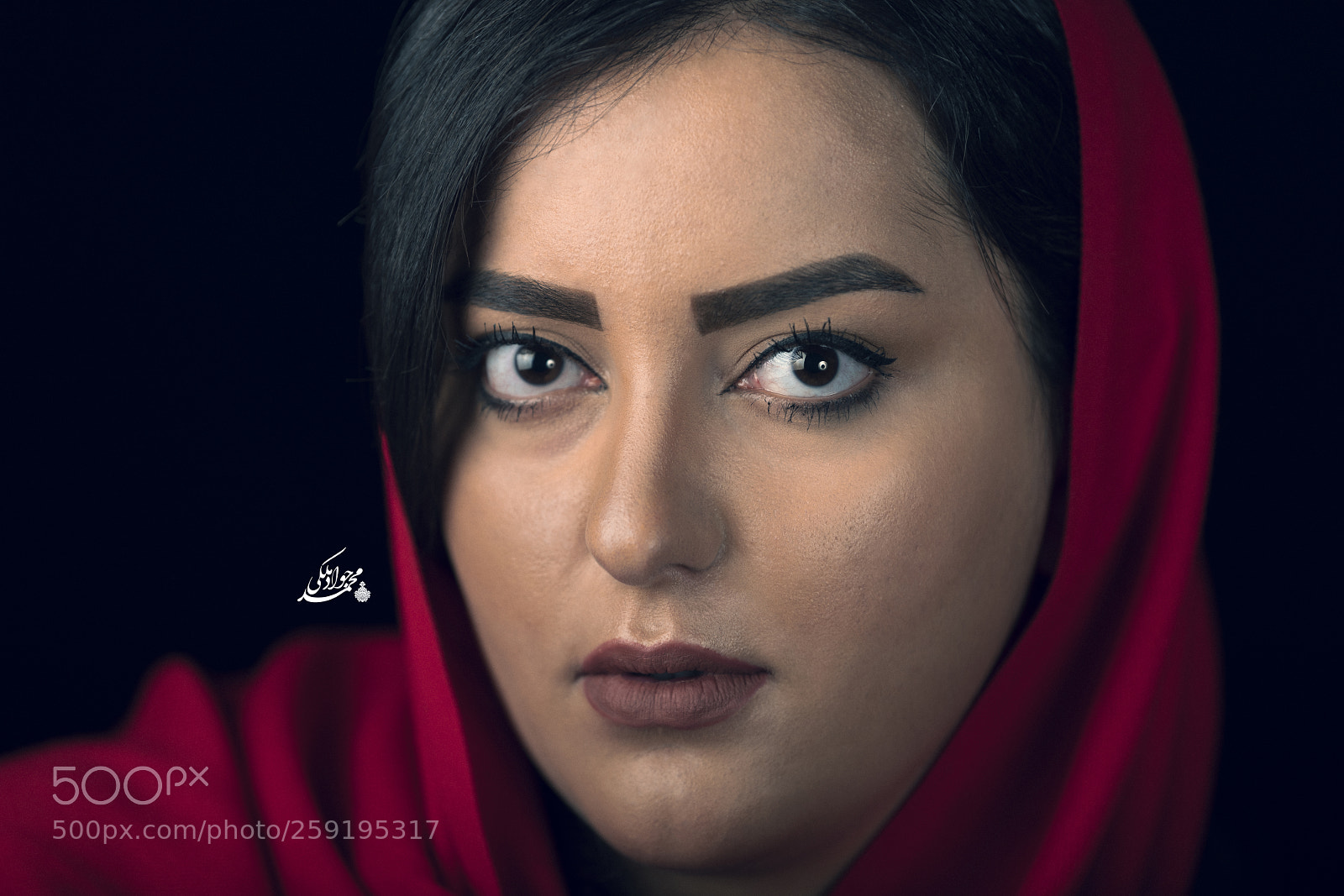 Nikon D850 sample photo. Untitled iii photography