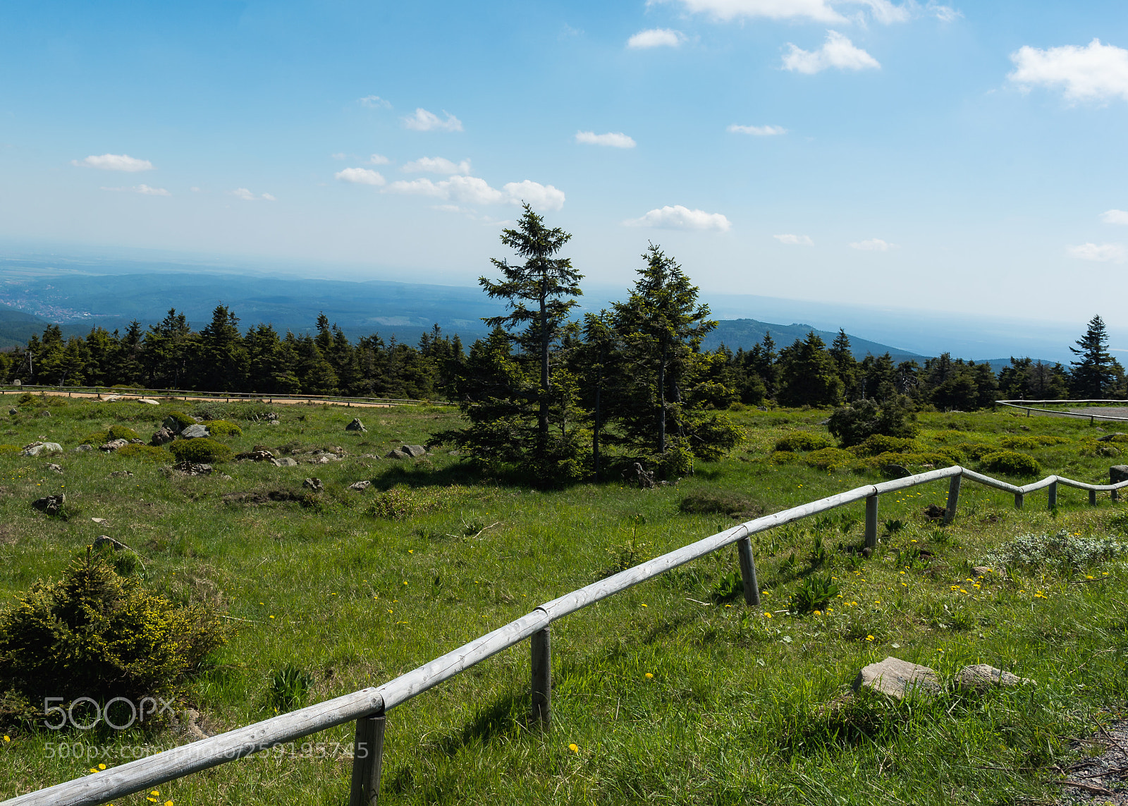 Nikon D4 sample photo. Leading lines photography